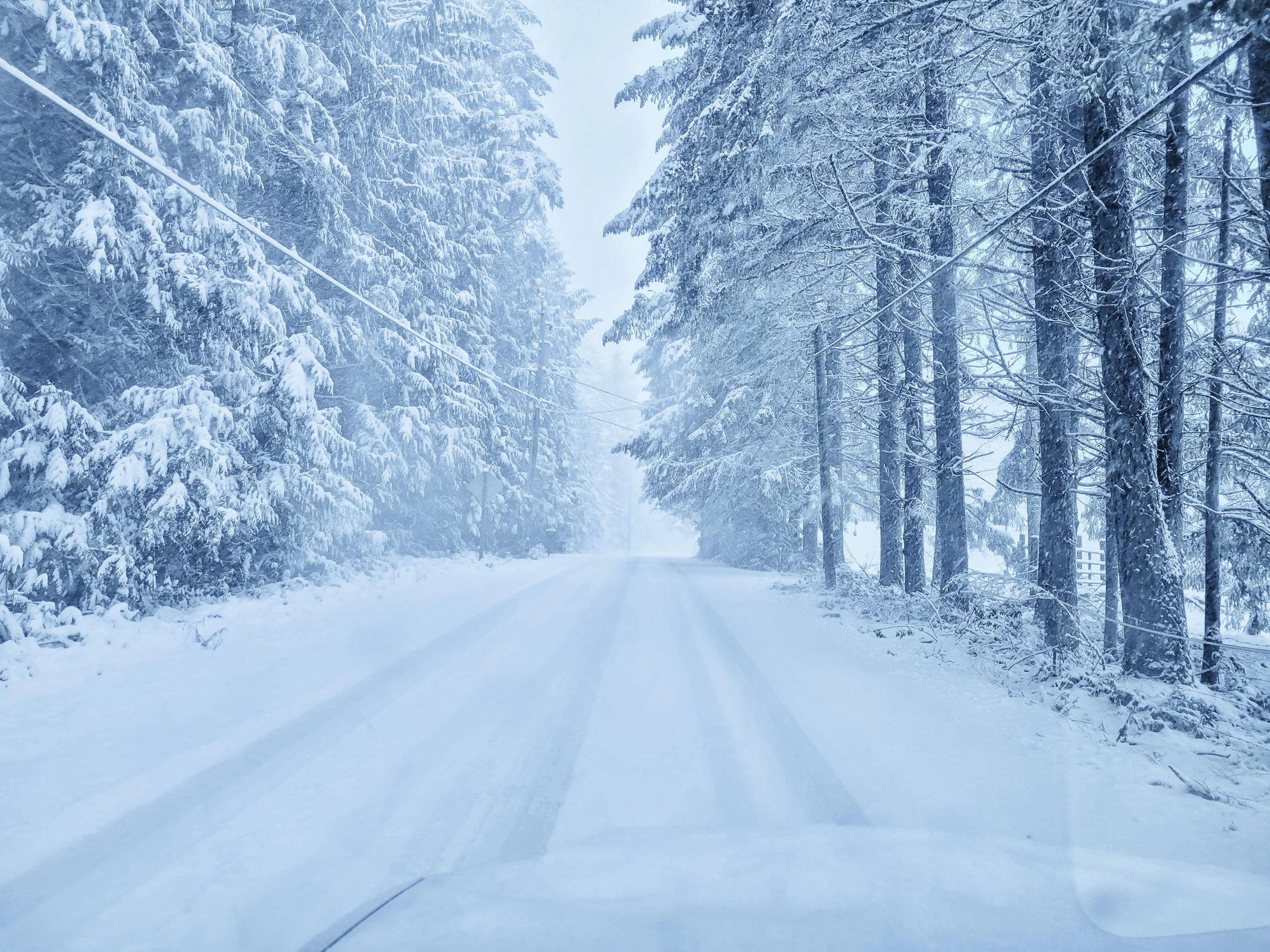 Snow covers a road and trees as seen through the windshield of a vehicle