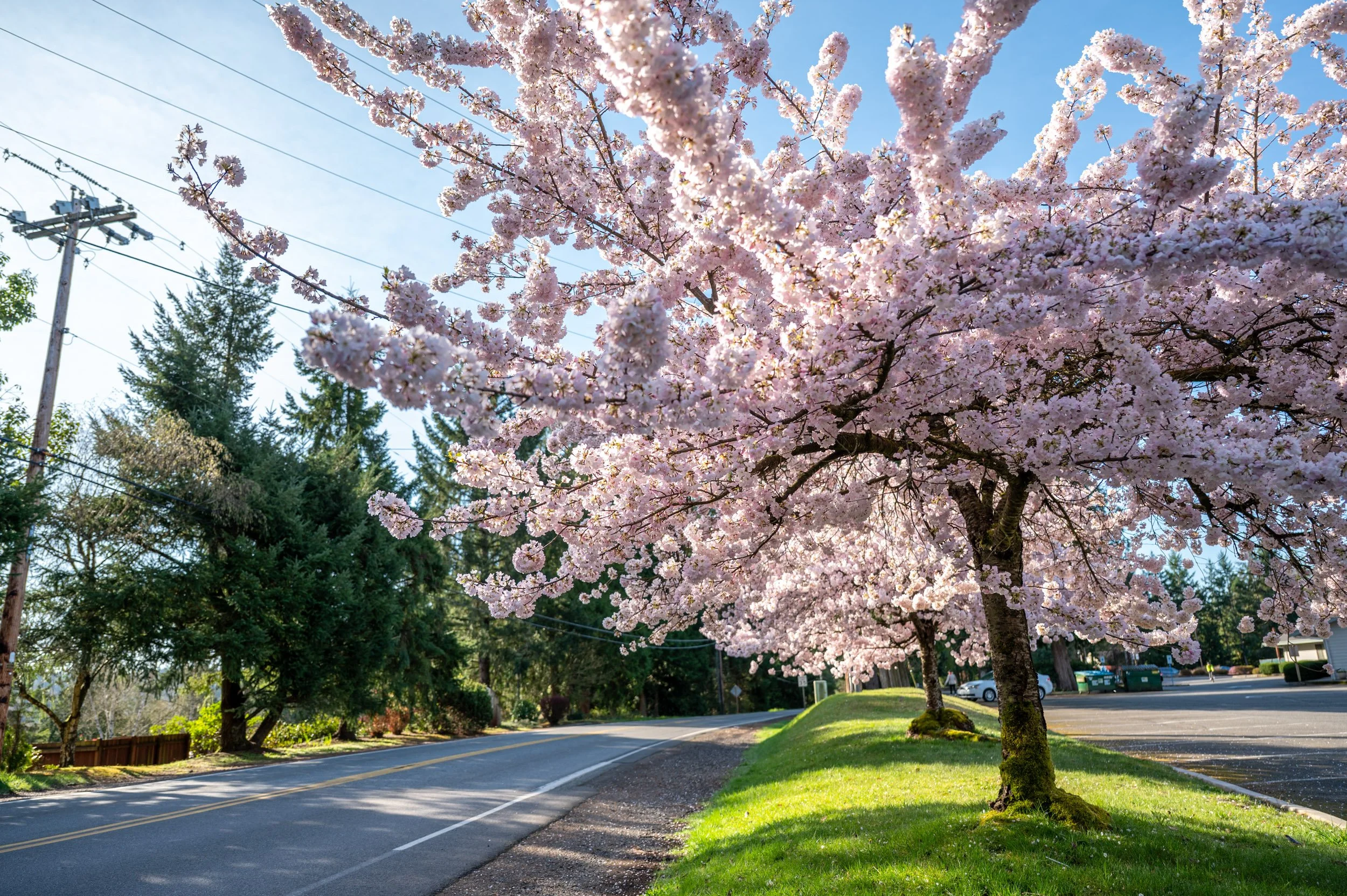 Headways Newsletter: April 2026