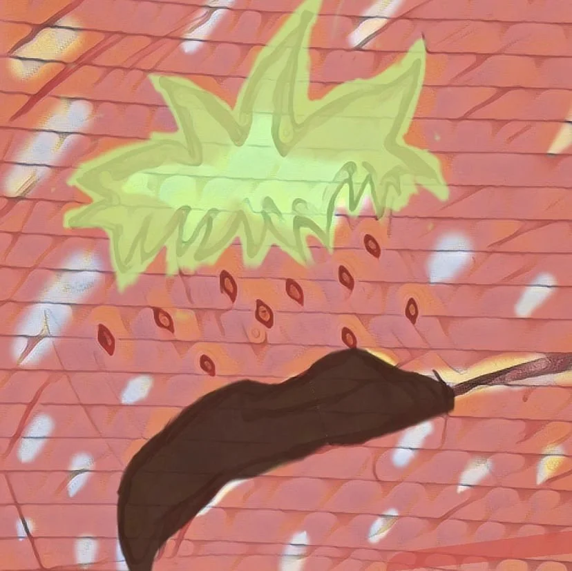 Strawberry Chocolate, 2023, Digital Art, 500x499 px