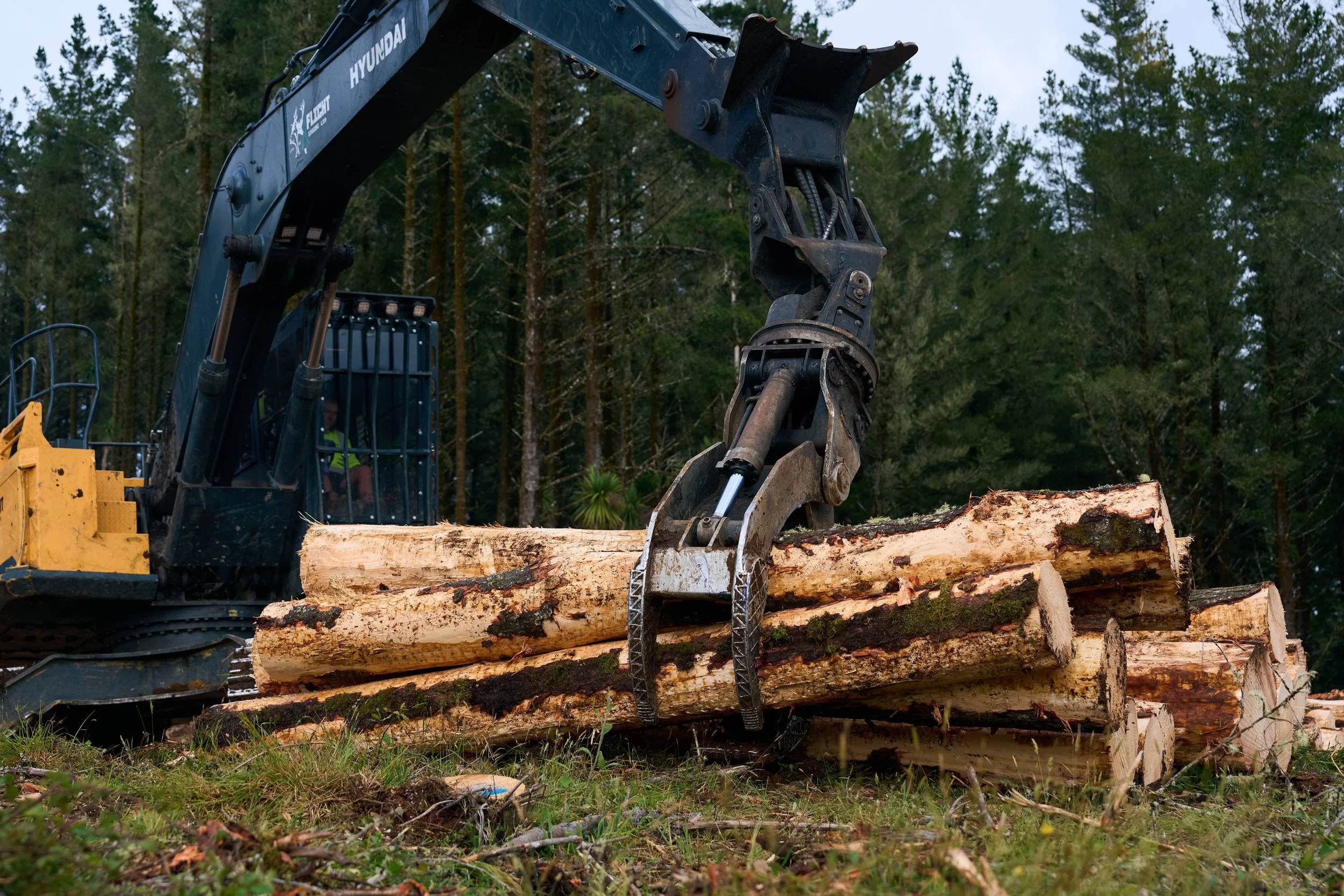 Request for Proposal: Winch-Assisted Ground-Based Harvesting, Turangi