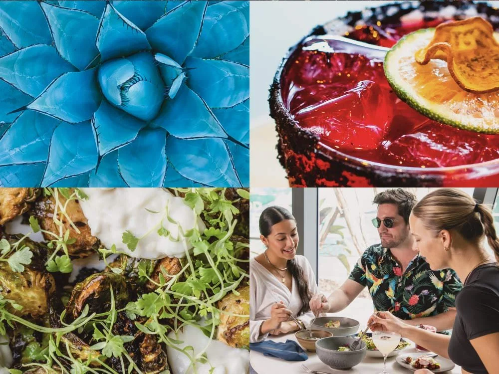 Pez Loco Restaurant & Tequila Bar Wynwood, Miami FL 33127