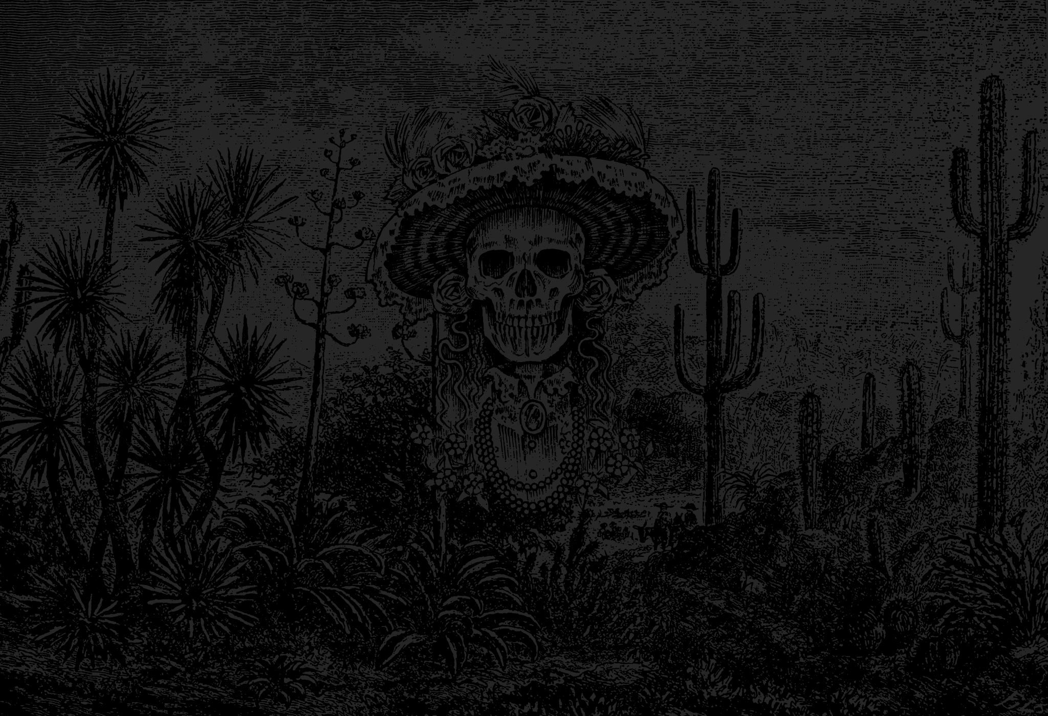 Pez Loco Restaurant & Tequila Bar Wynwood, Miami FL 33127