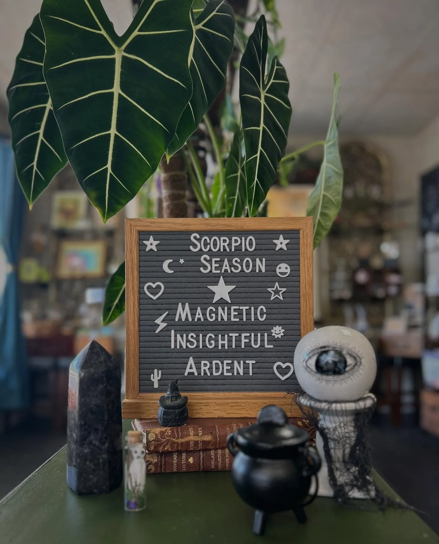 Scorpio season is here! And we are so ready for the spiciest water sign. โ๏ธ Think Aries and Pisces had a baby. 
We love Scorpio’s for their passion, deep emotions and intuition. They love to read a room. Do NOT expect to get away with lying to