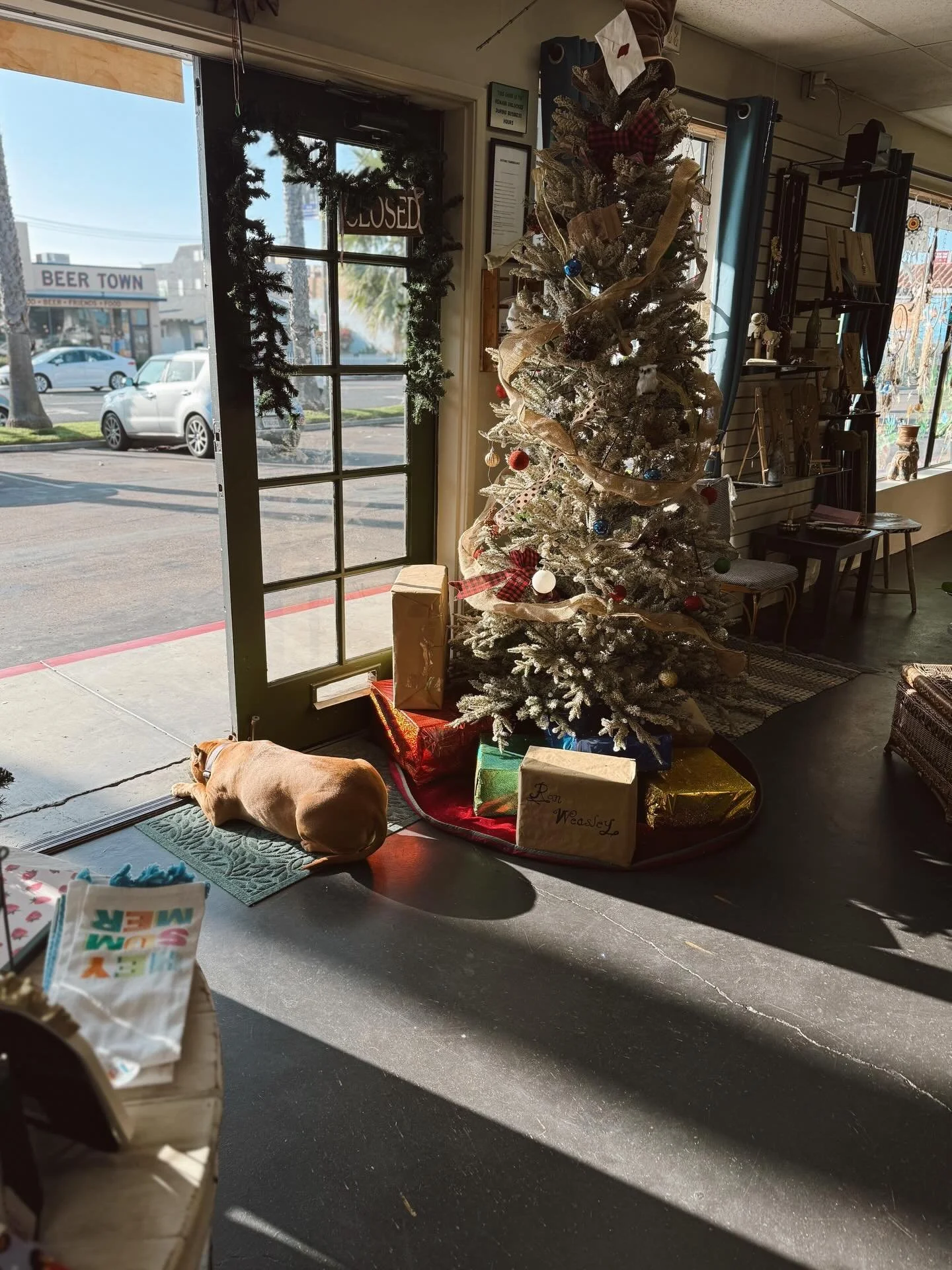 With the holidays around the corner, we&rsquo;re settling into our favorite season: cozy corners, thoughtful gifts, and slow wandering.✨🌲
If you need a place to pause and browse, we&rsquo;re here!! ( Luna too of course!🐕&hellip; how perfect is that