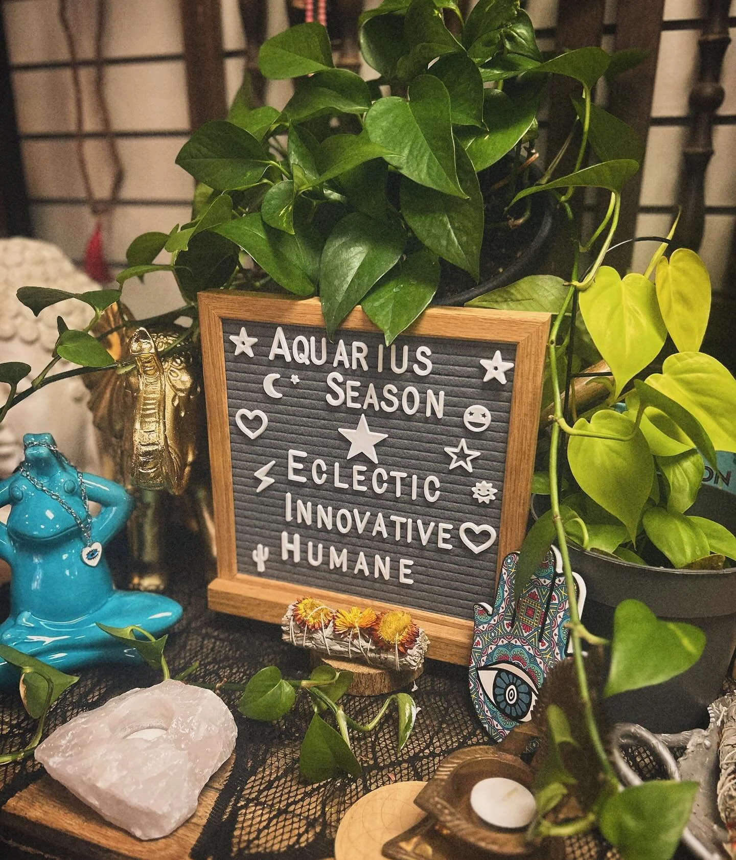 Aquarius it&rsquo;s your time!!!♒️

After Capricorn helped us get grounded, focused, and a little serious (we appreciate you 🐐), Aquarius arrives like a breath of fresh air😮&zwj;💨

This is the season of visionaries, rebels, and big-picture thinker