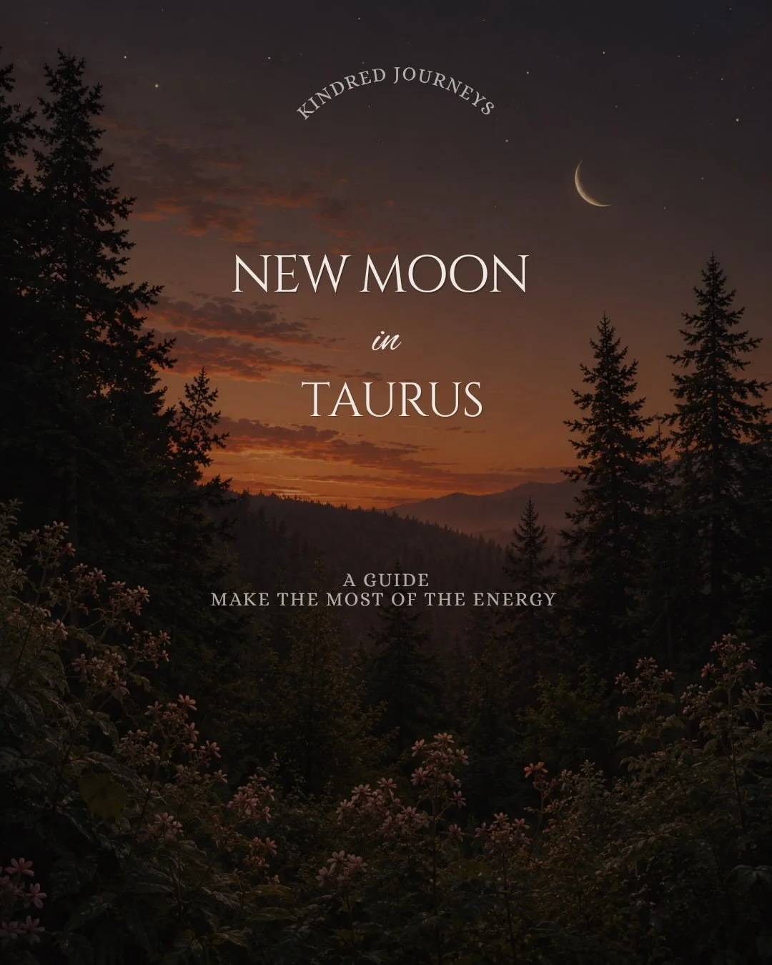 If new moons are for manifesting, this one is for calling in the kind of abundance that feels steady, nourishing, and real. 🌑🌿✨

The New Moon in Taurus reminds us that growth doesn&rsquo;t have to be rushed to be powerful. This is the energy of gro