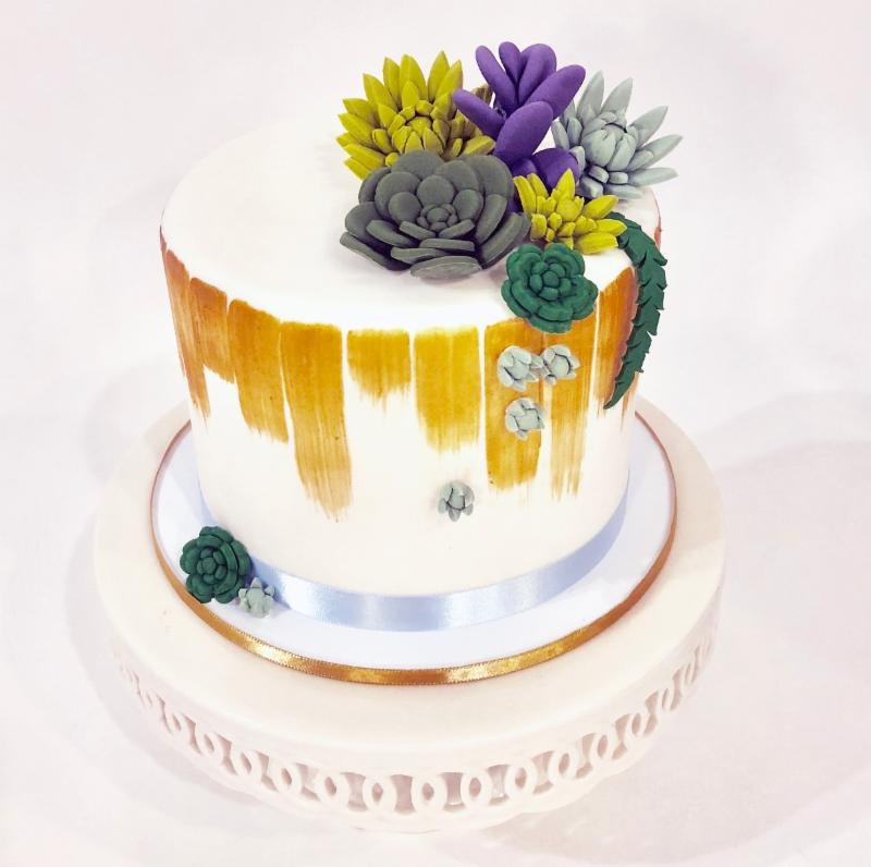 Succulent Cake.jpg