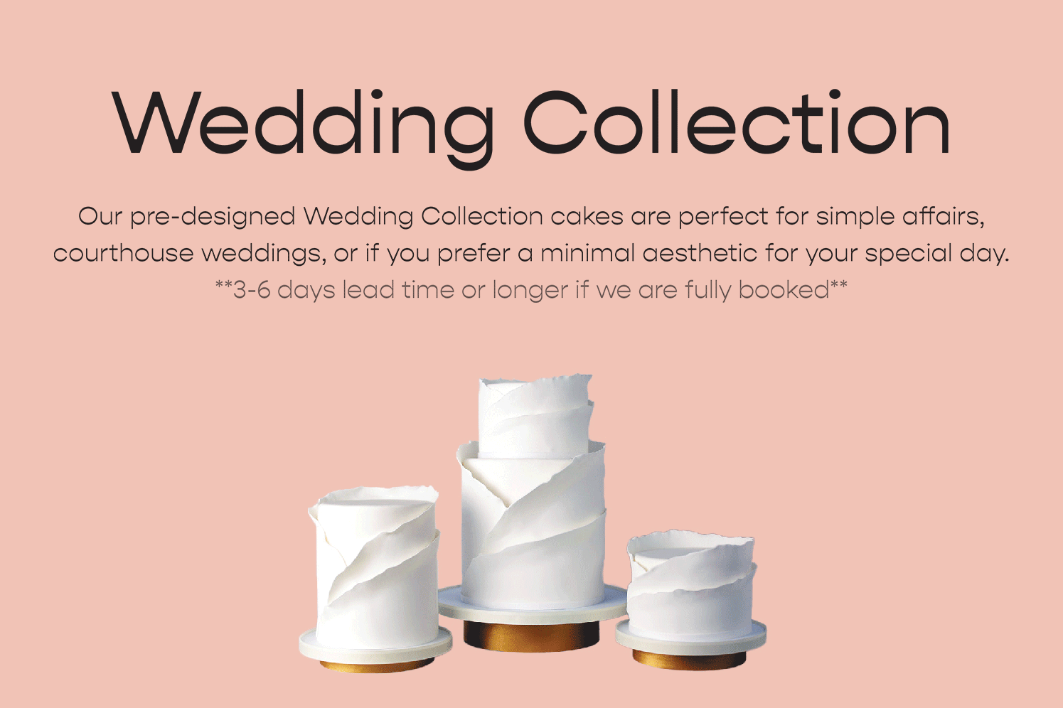 The Bake Shop — Charm City Cakes