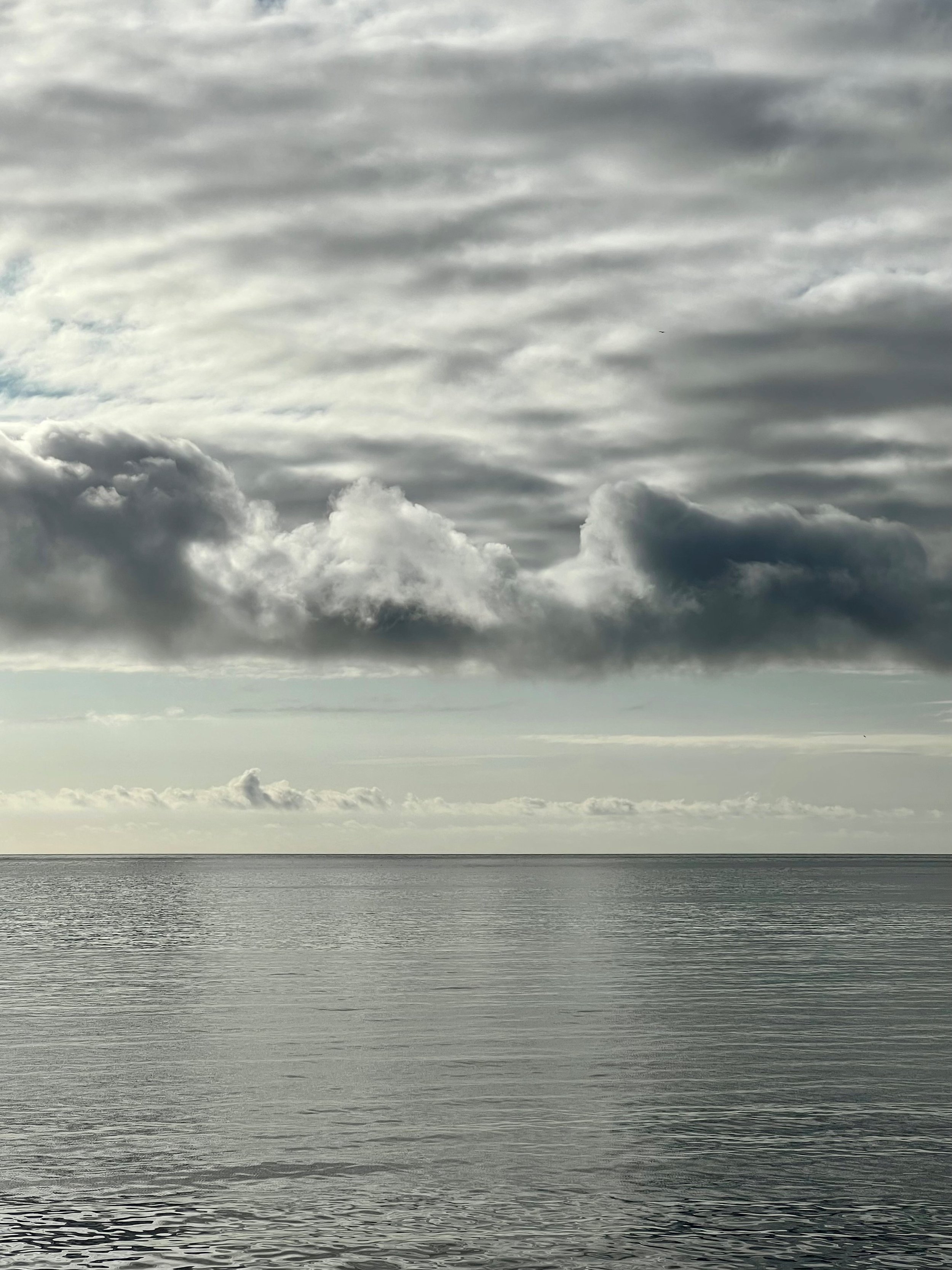 Purge Your Life — Live You Now