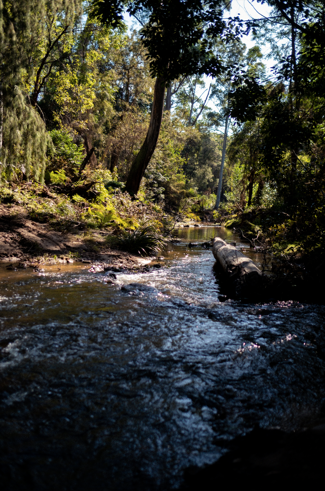 Screen Shot 2022-04-05 at 10.59.48.png