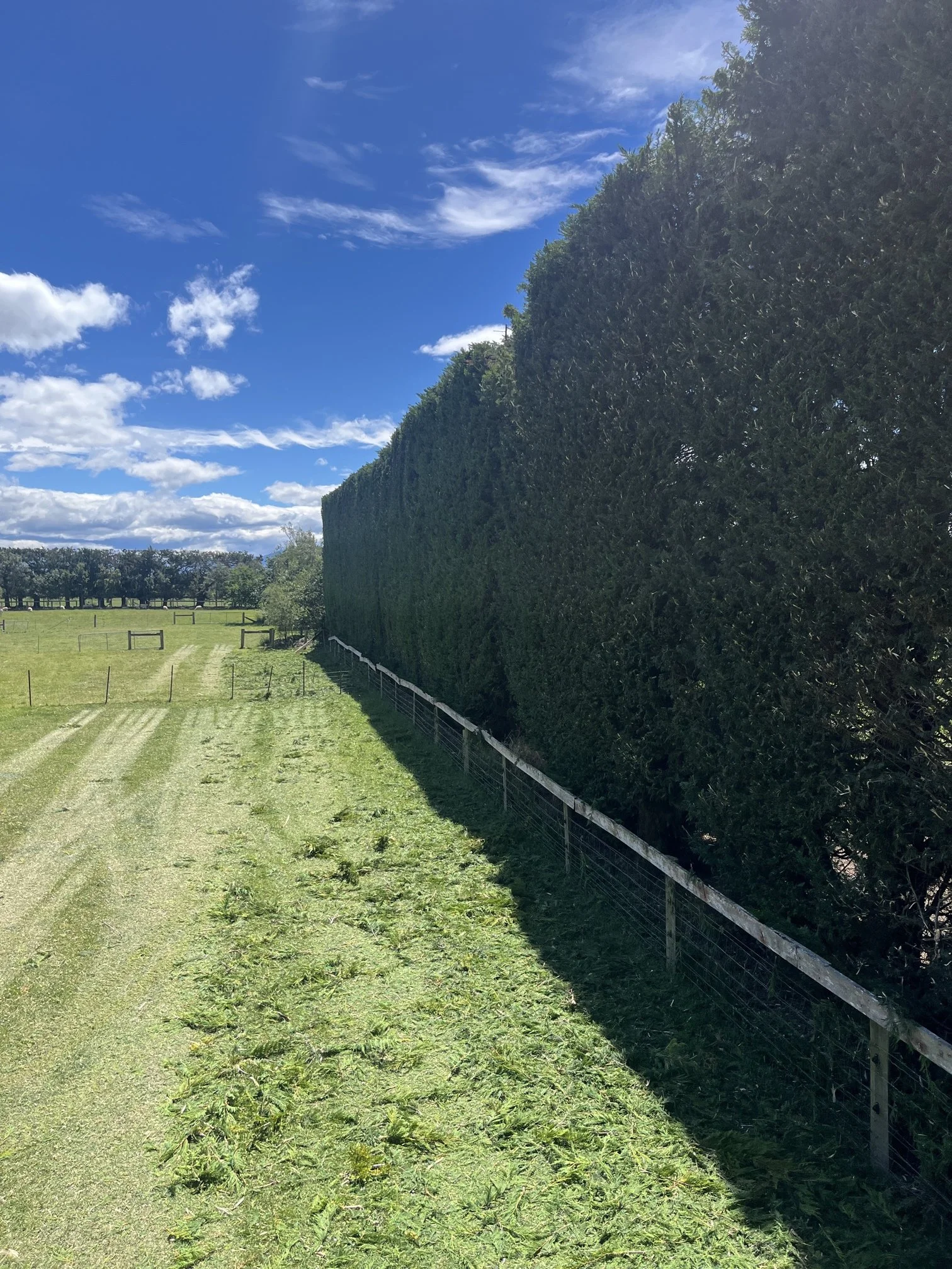 Hyde West Eyreton Nov 25.jpg