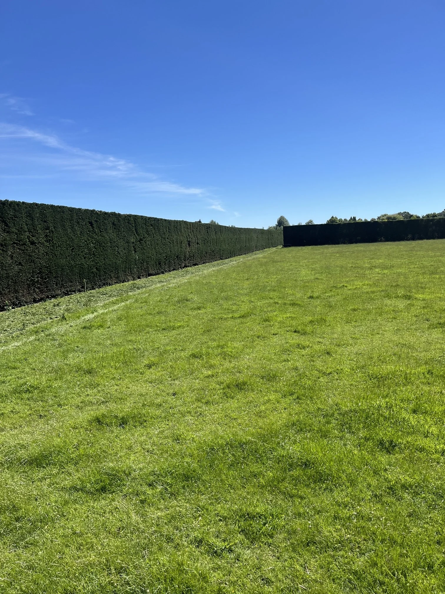 Macdonald2 Clarkville Nov 25.jpg