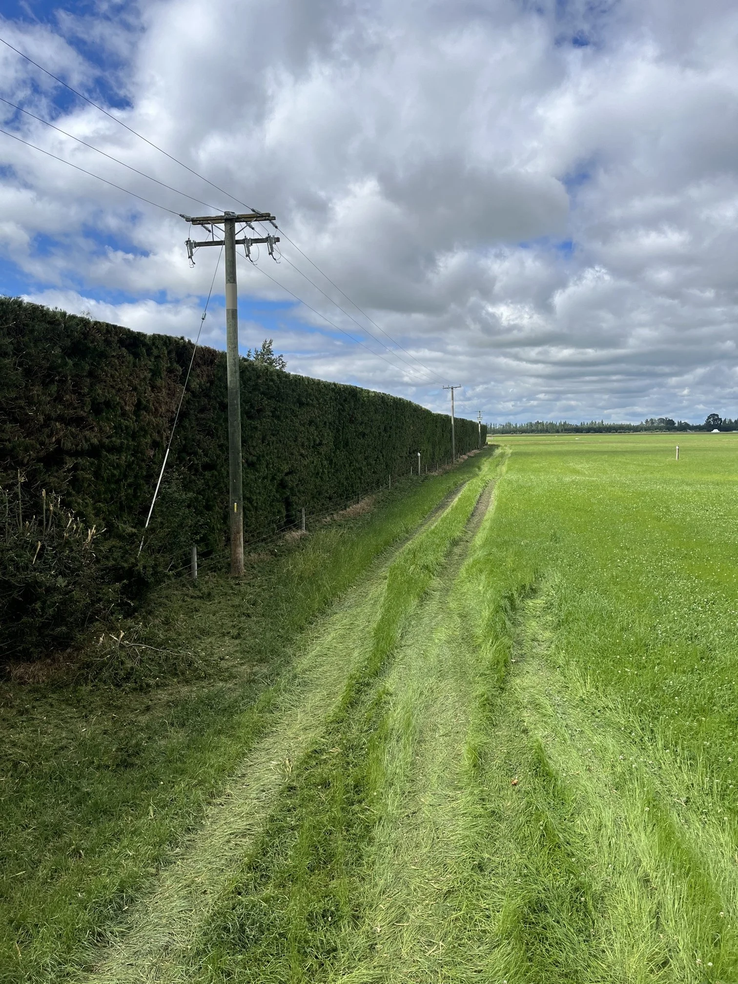 Schouten West Eyreton PL Dec 25.jpg