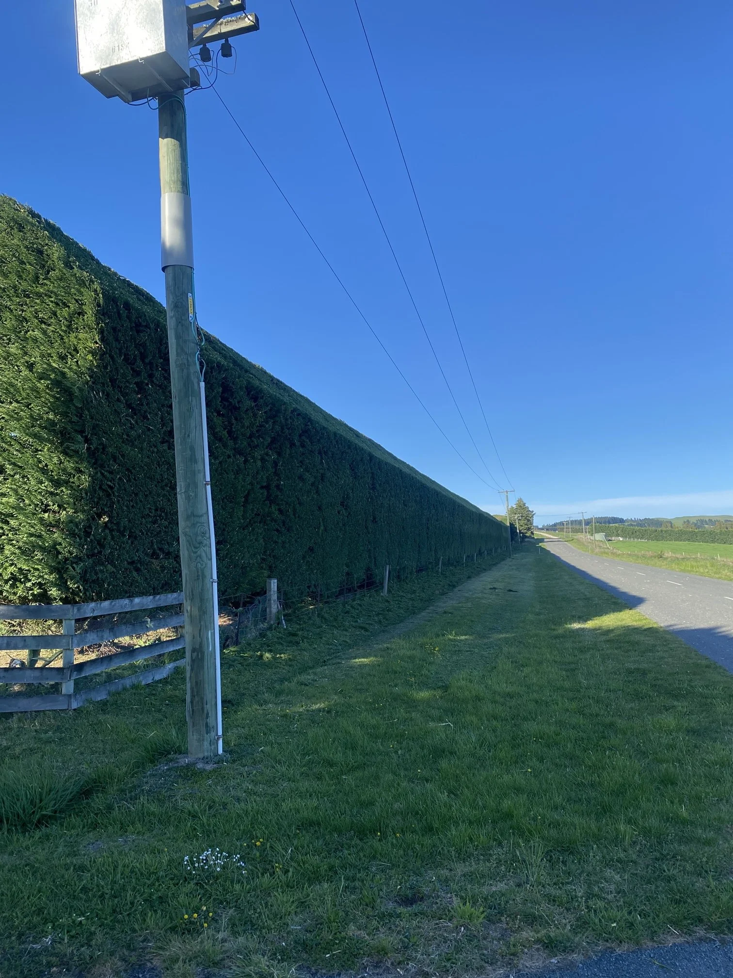 McFadden PL Oct 25 Hawarden.jpg