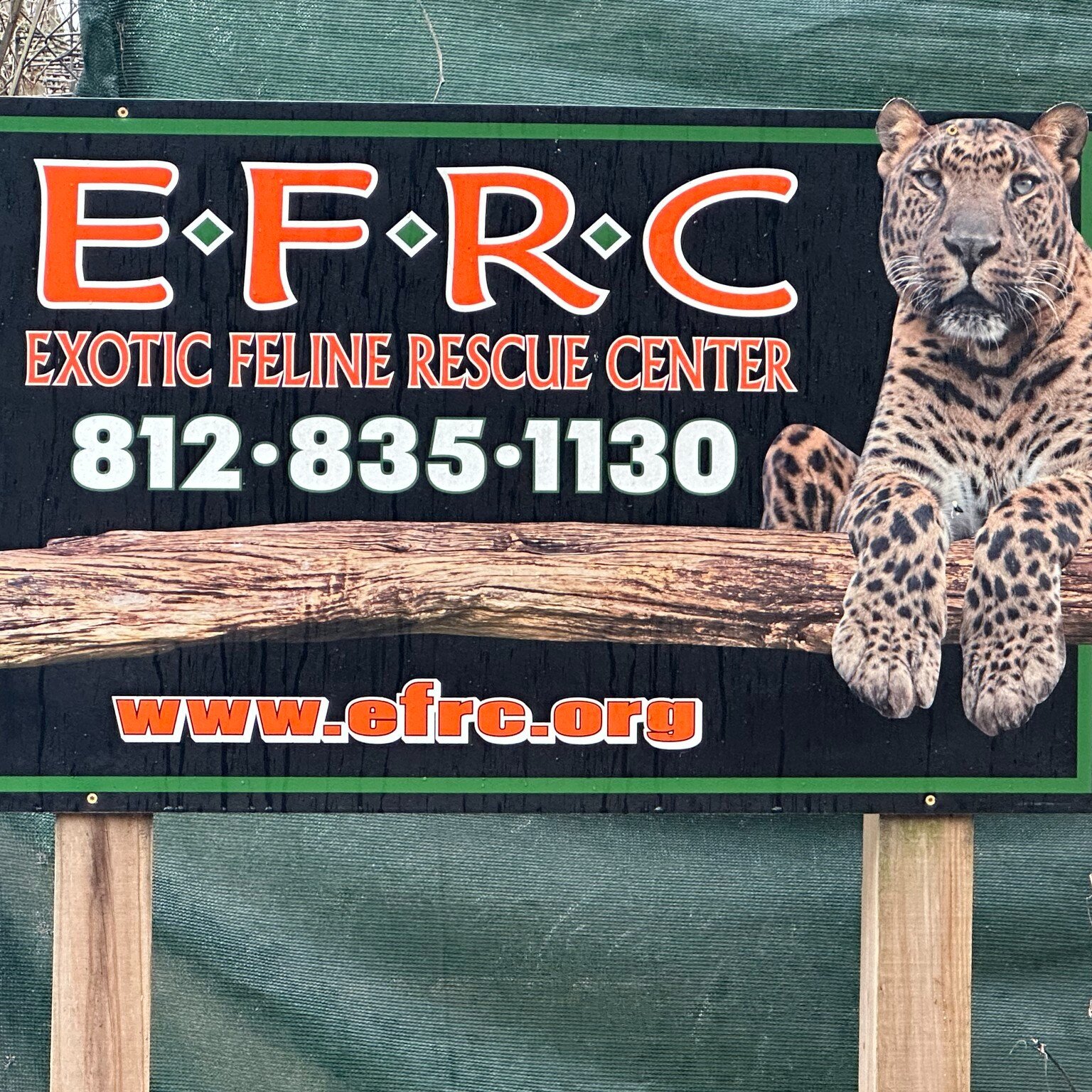 Brotherhood Designs was happy to make the trip to Center Point, IN yesterday to deliver some of our fire hose that we do not use in our flag and sign builds.  We have the pleasure of partnering with the Exotic Feline Rescue Center to donate all of th