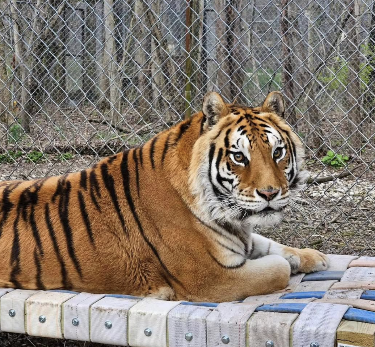 Screenshot 2026-01-27 at 10.28.12 PM.png (Copy) (Copy)