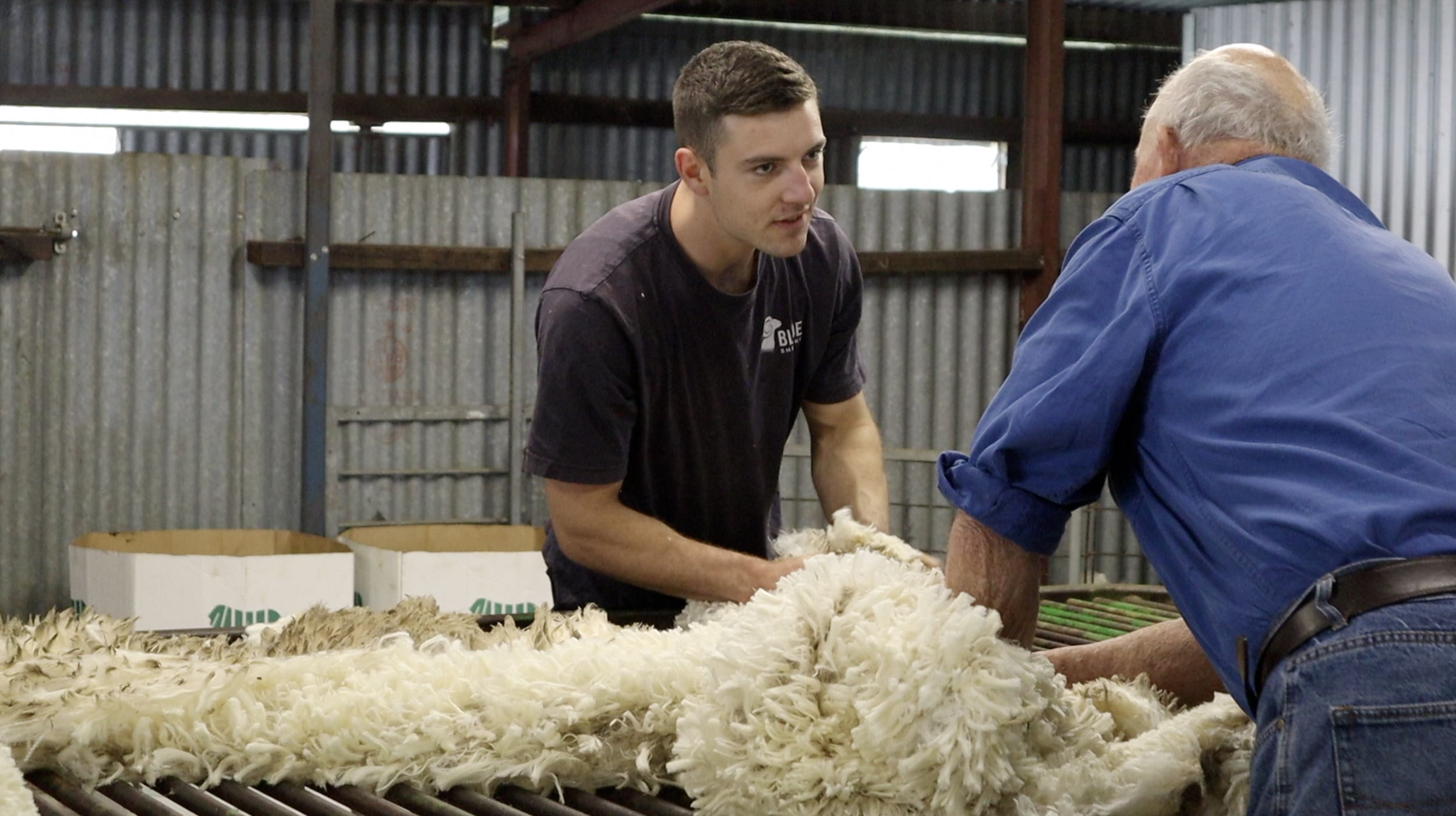 Screen Shot 2024-12-05 at 6.51.53 am.png