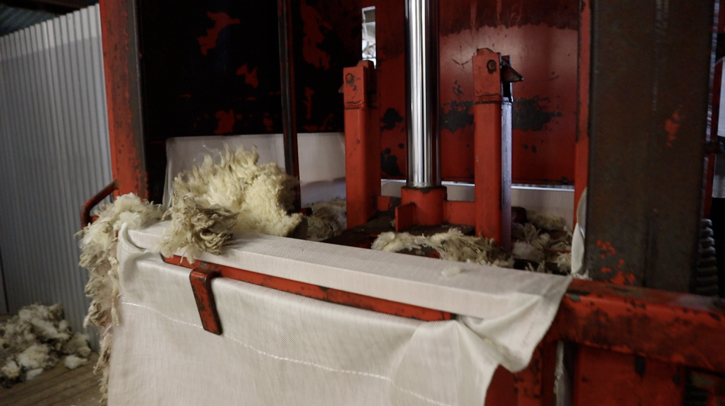 Screen Shot 2024-12-05 at 6.42.29 am.png