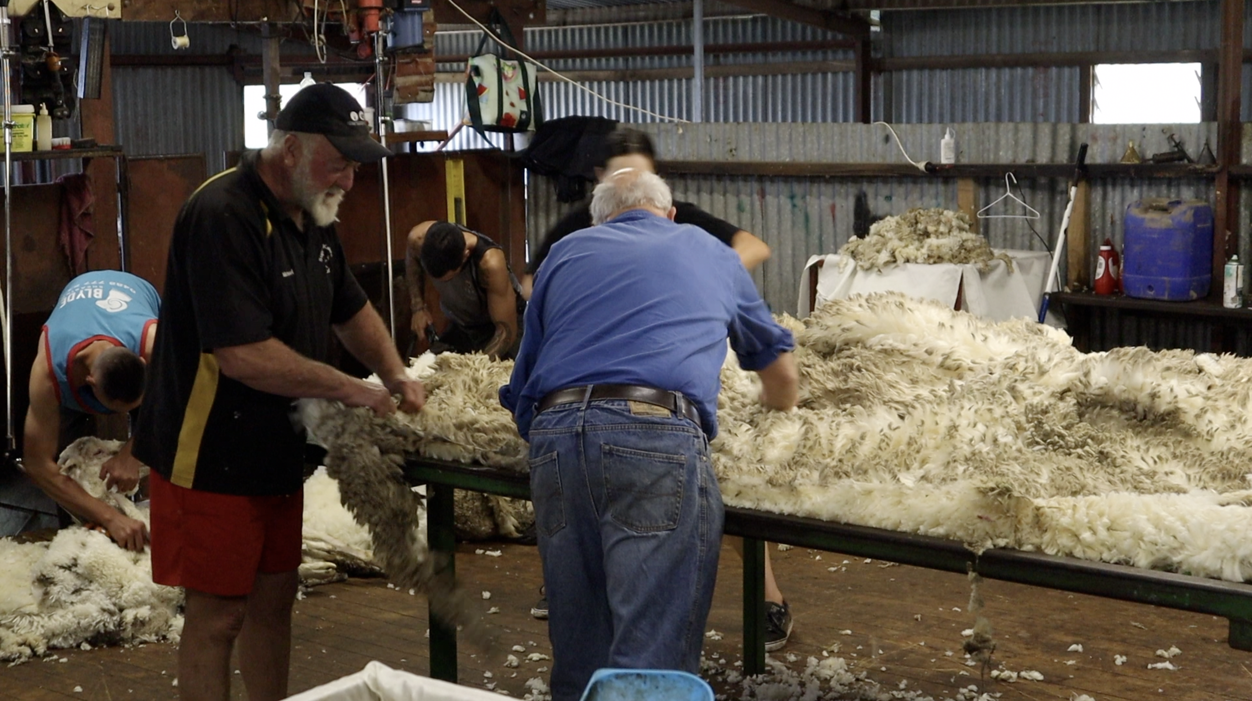 Screen Shot 2024-12-05 at 6.41.59 am.png