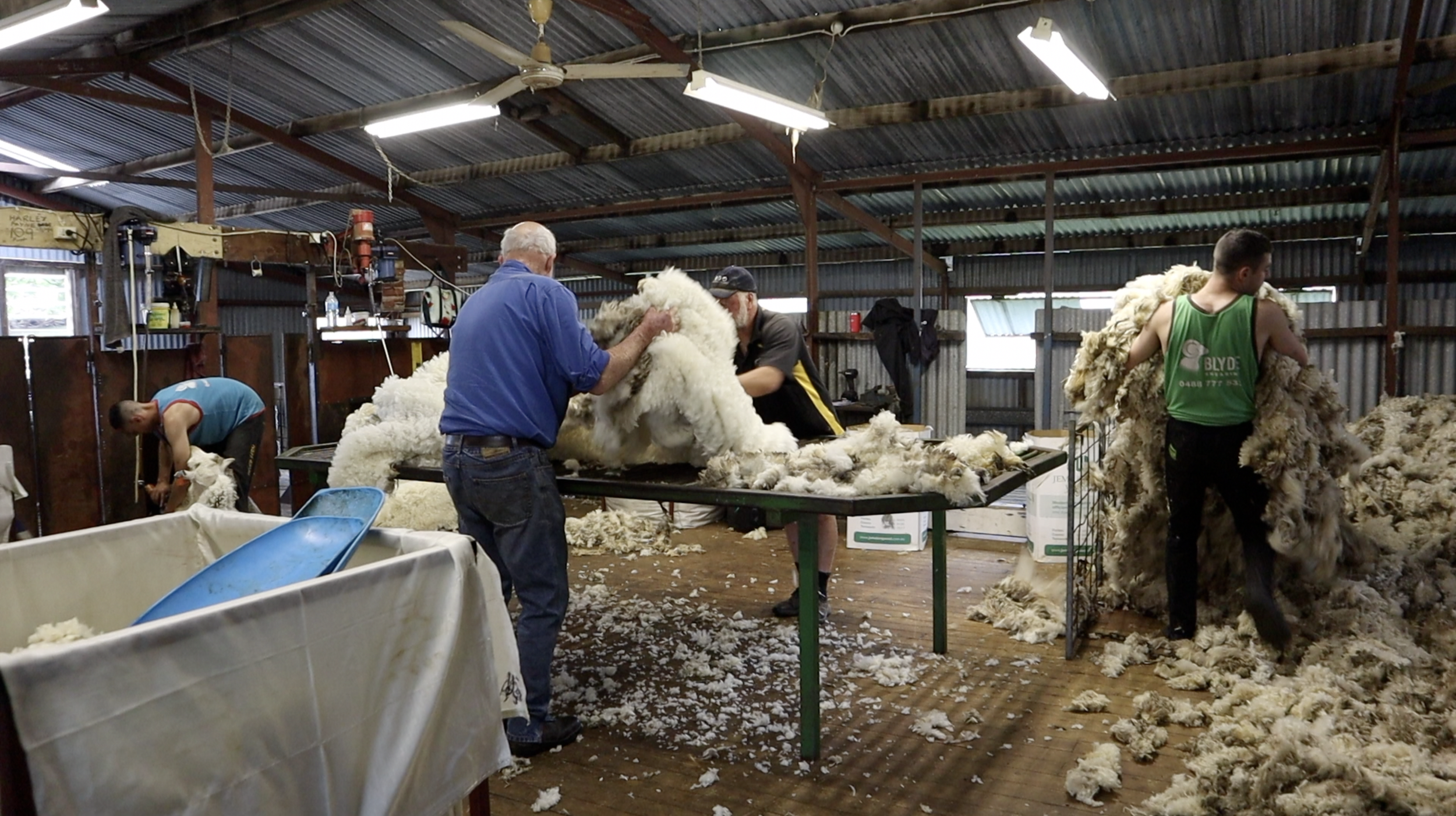 Screen Shot 2024-12-05 at 6.45.07 am.png