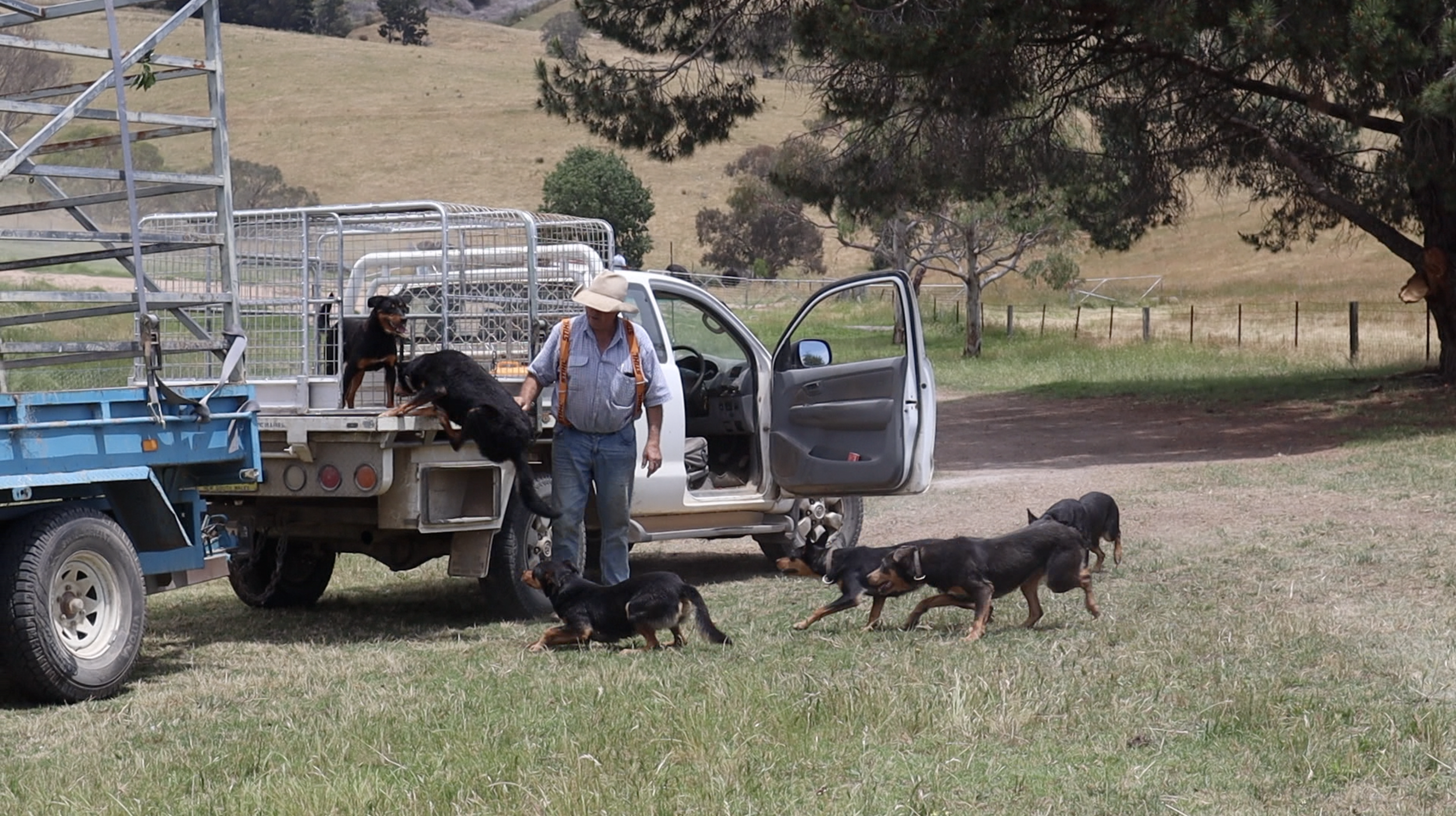 Screen Shot 2024-12-05 at 6.32.57 am.png