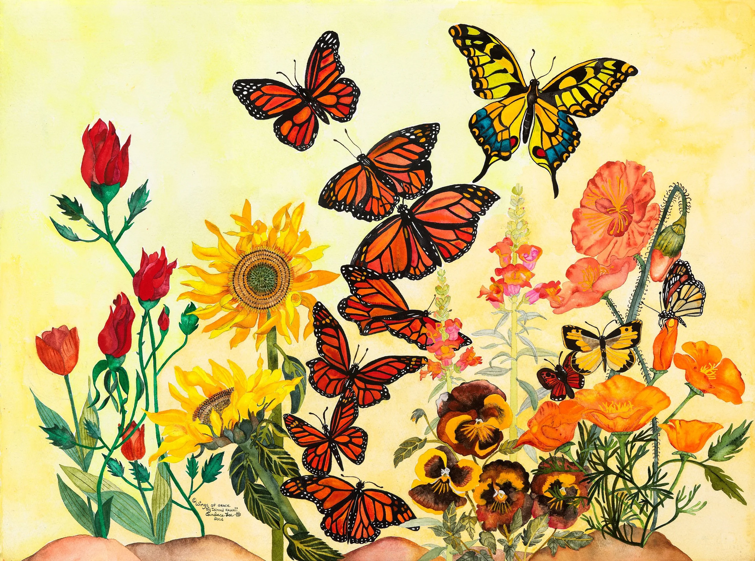 Wings of Grace