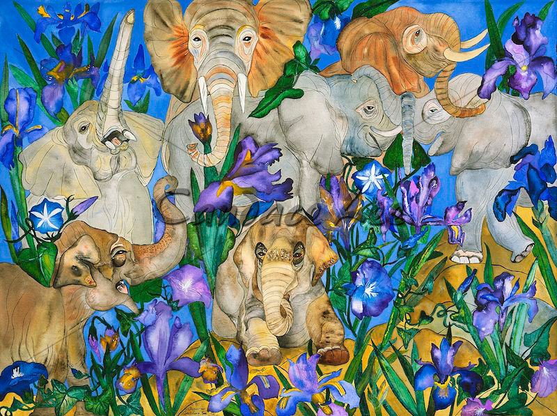 Elephants