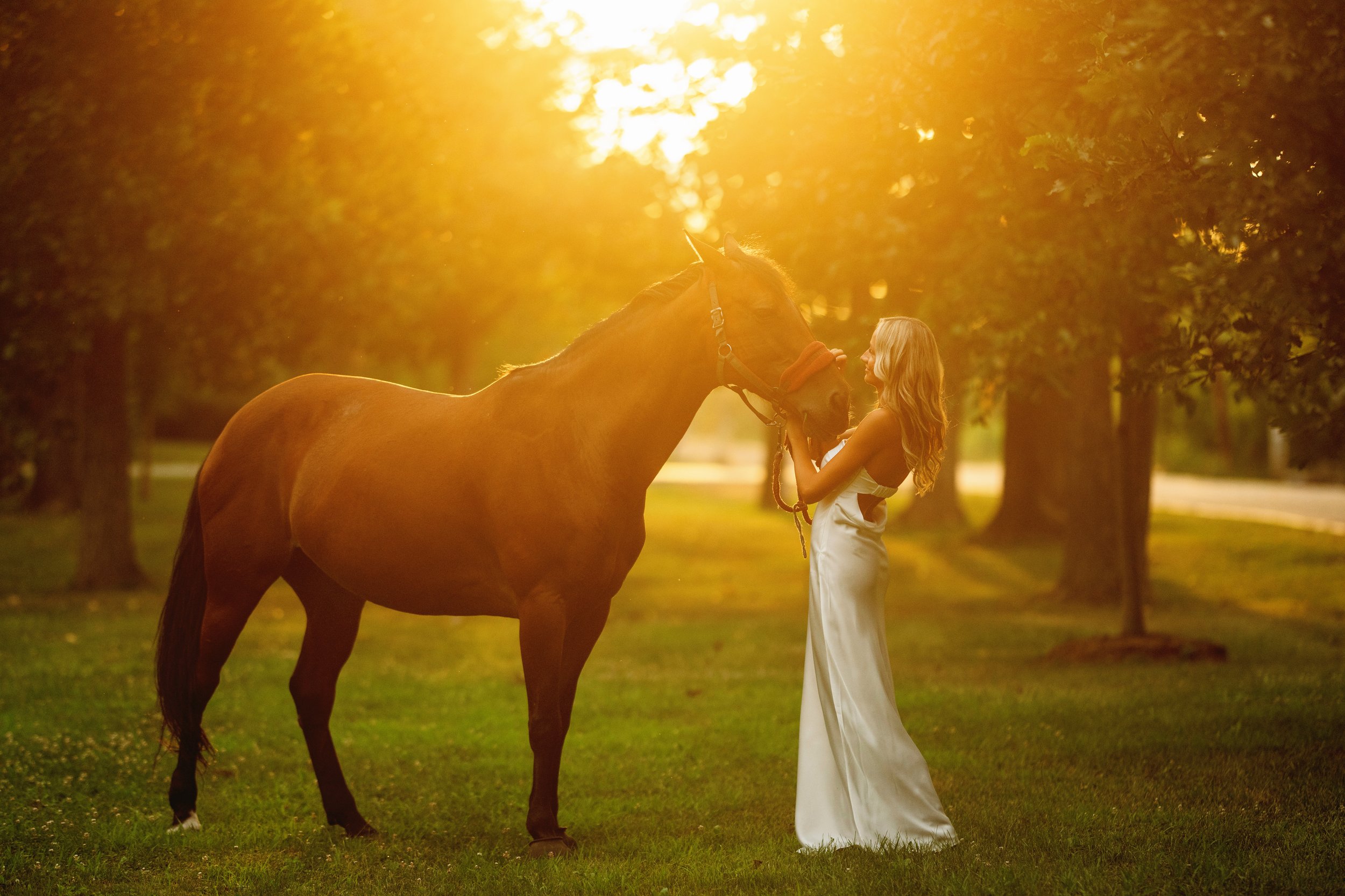 Senior Pictures with Horse | Buffalo NY