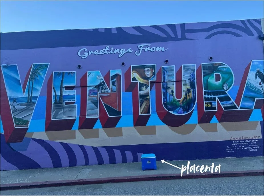 🌳🌹Welcome to the placenta portal 🌹🌳

Even if you do not intend to consume your placenta, there are ways to use and honor it as your baby&rsquo;s first home. First nourishment. Your placenta does not need to be seen as medical waste. It is anythin