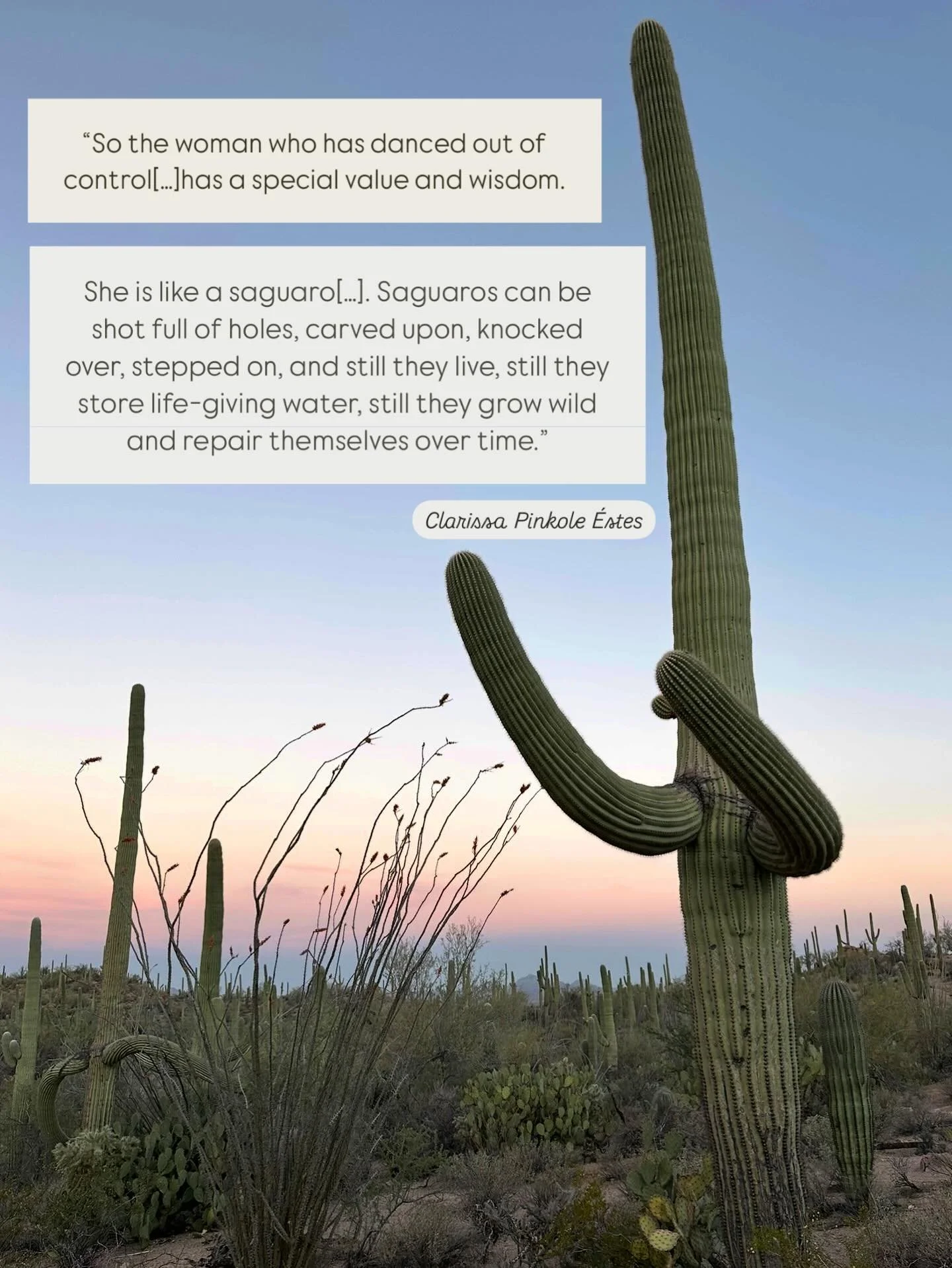 &ldquo;[T]here is [. . .] something that fuses fierceness to wisdom in the woman who has danced the cursed dance, who has lost herself and her creative life, who has driven herself to hell in a cheap (or expensive) hand basket, and yet who has someho