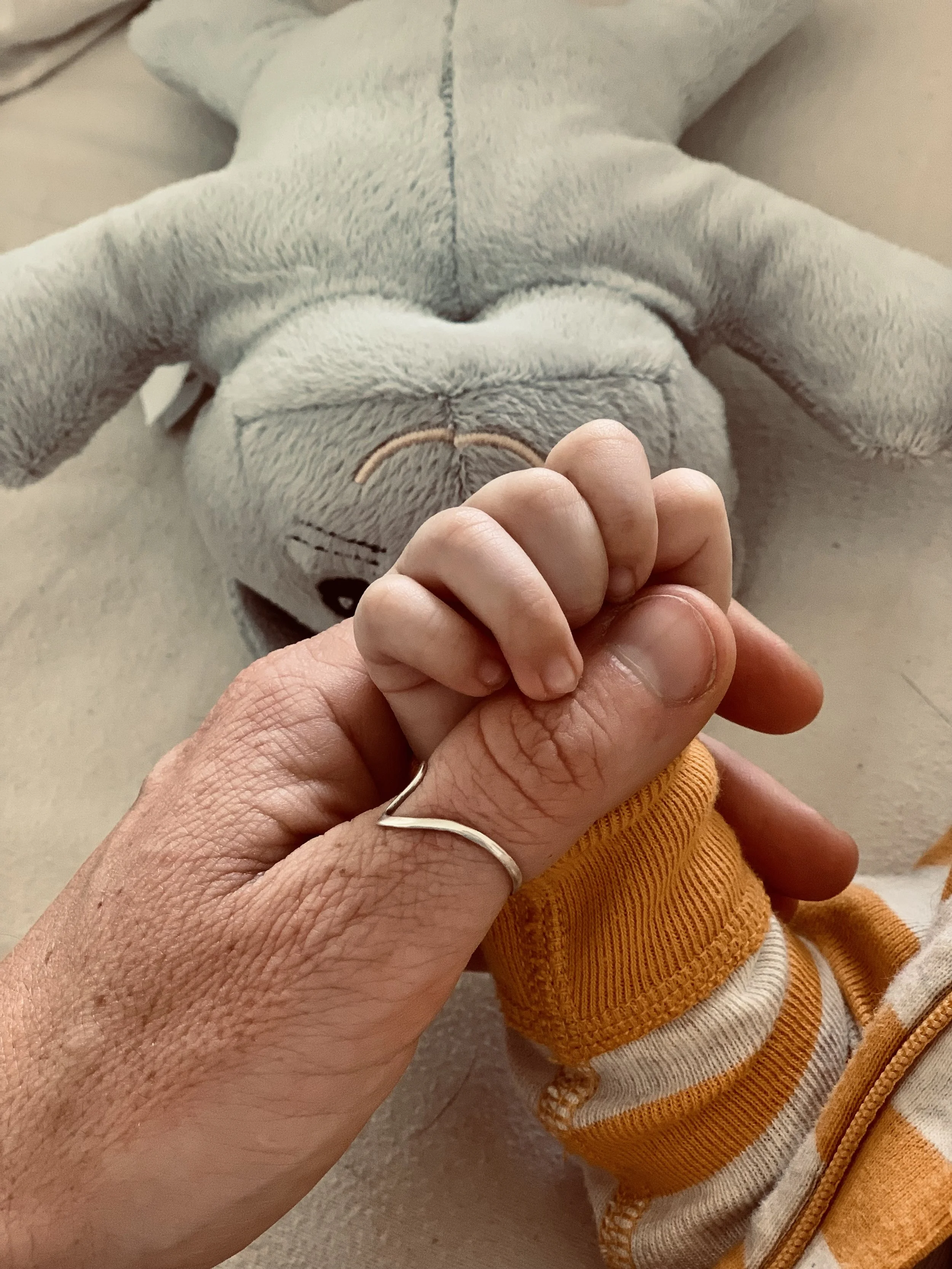 Doula’s hand gently holds sleeping baby’s hand with a blue stuffed animal in the background.