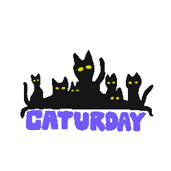 Caturday.gif