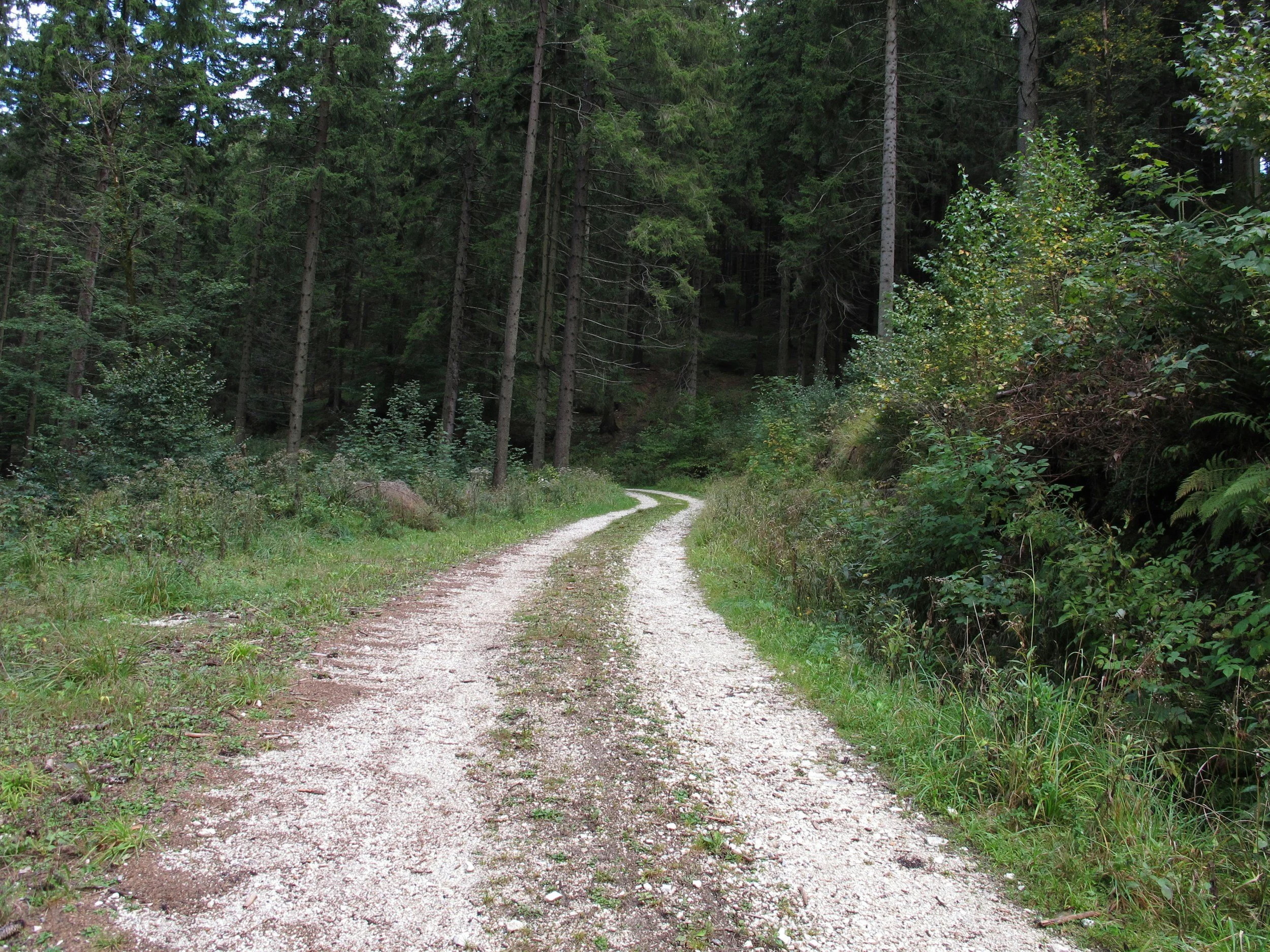 The Inner Work of Enduring Ministry: A Guide to Move Forward