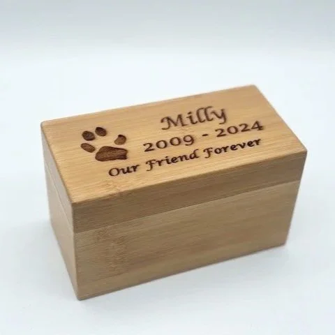 Milly.jpg