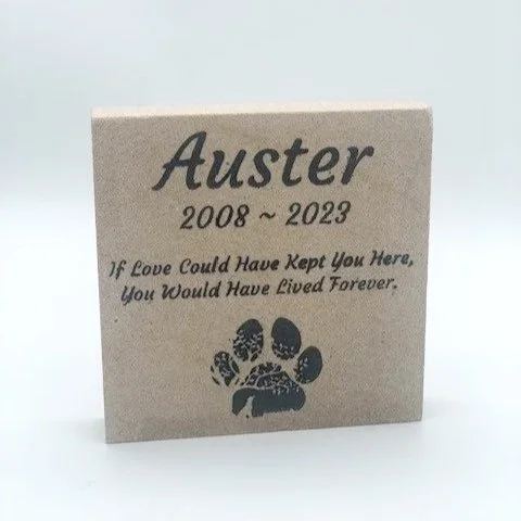 Auster.jpg