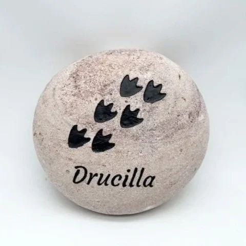 Stone+-+Drucilla.jpg