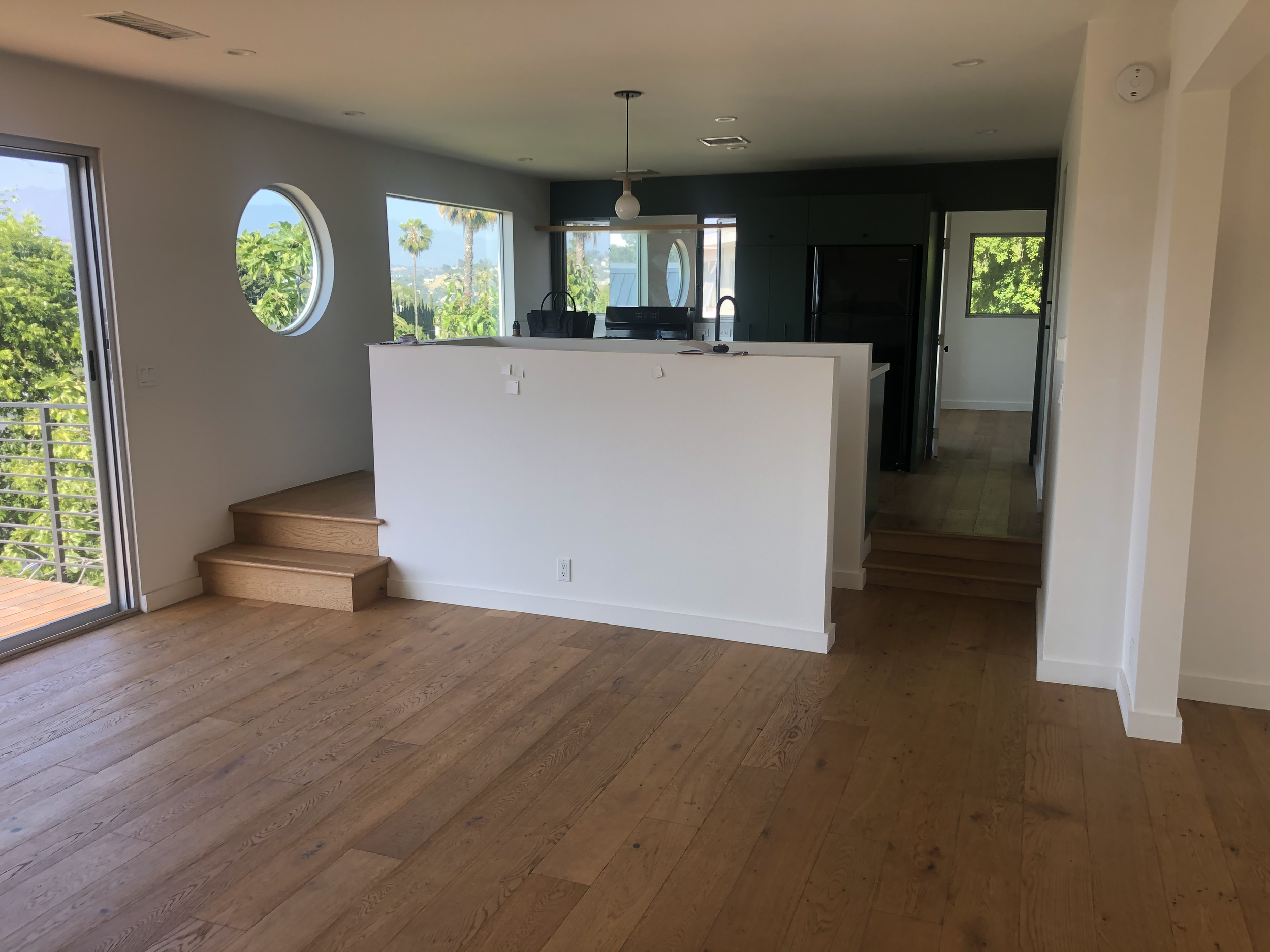 hidalgo before 1 for website.png