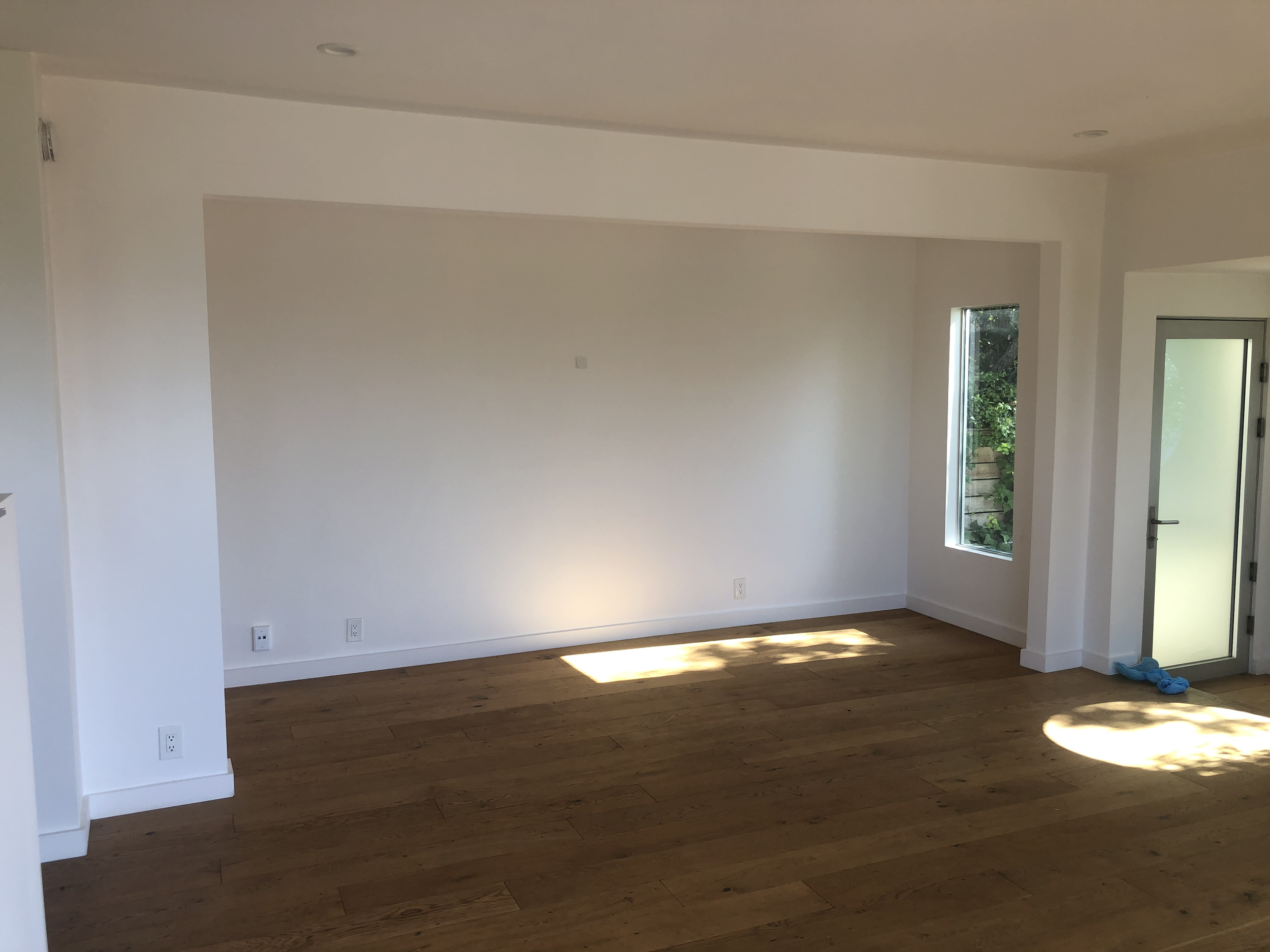 hidalgo before 2 for website.png