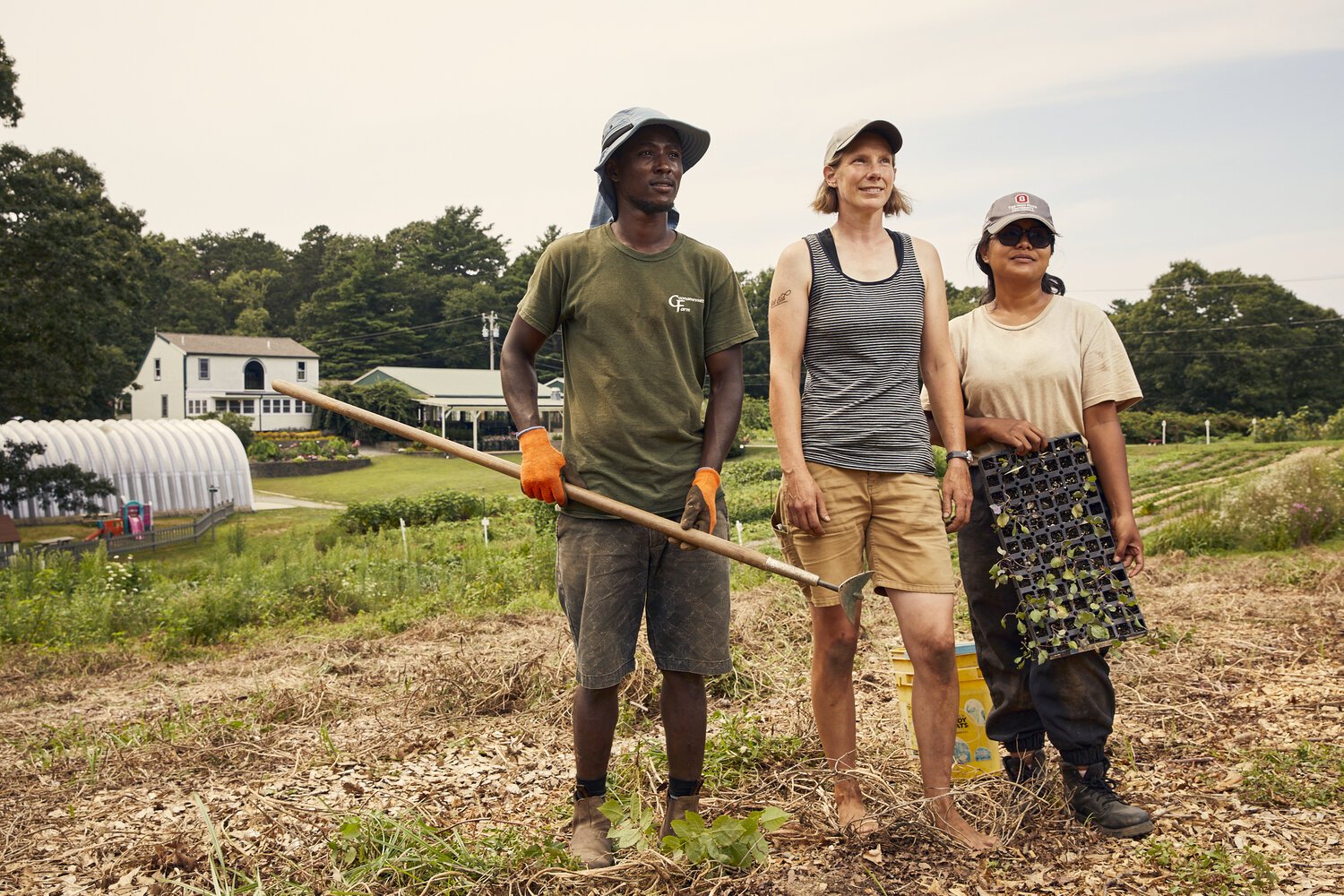 FALMOUTH - 08/07/21 -- Intern, Lekshon Kivuyo, from Tanzania, worker, Melissa Meyer, and intern, Lily Aulia, from Indonesia plant collard greens at Coonamesset Farm for the fall harvest. Caroline Brodt/Cape Cod Times
