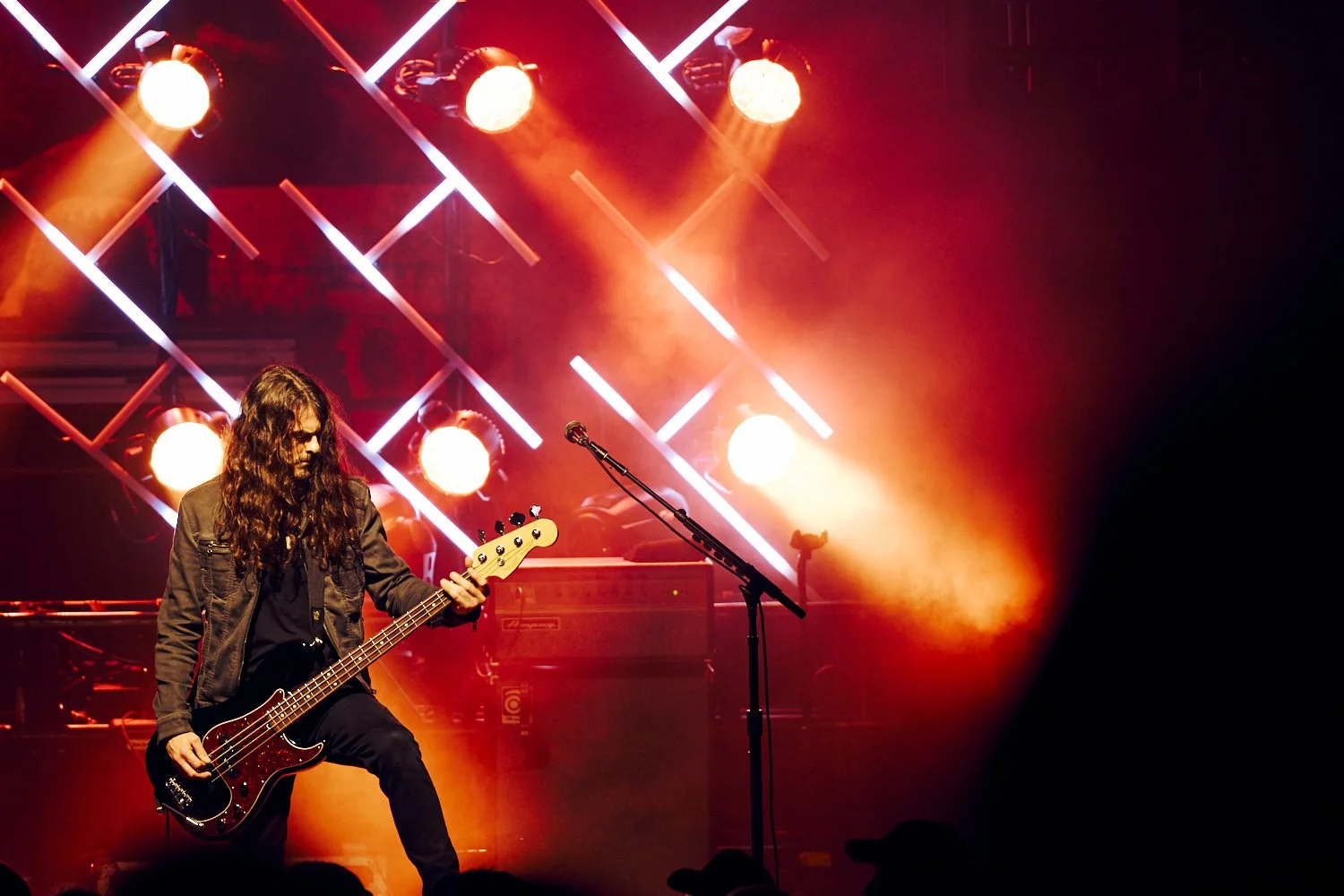 jerry cantrell_10.jpg