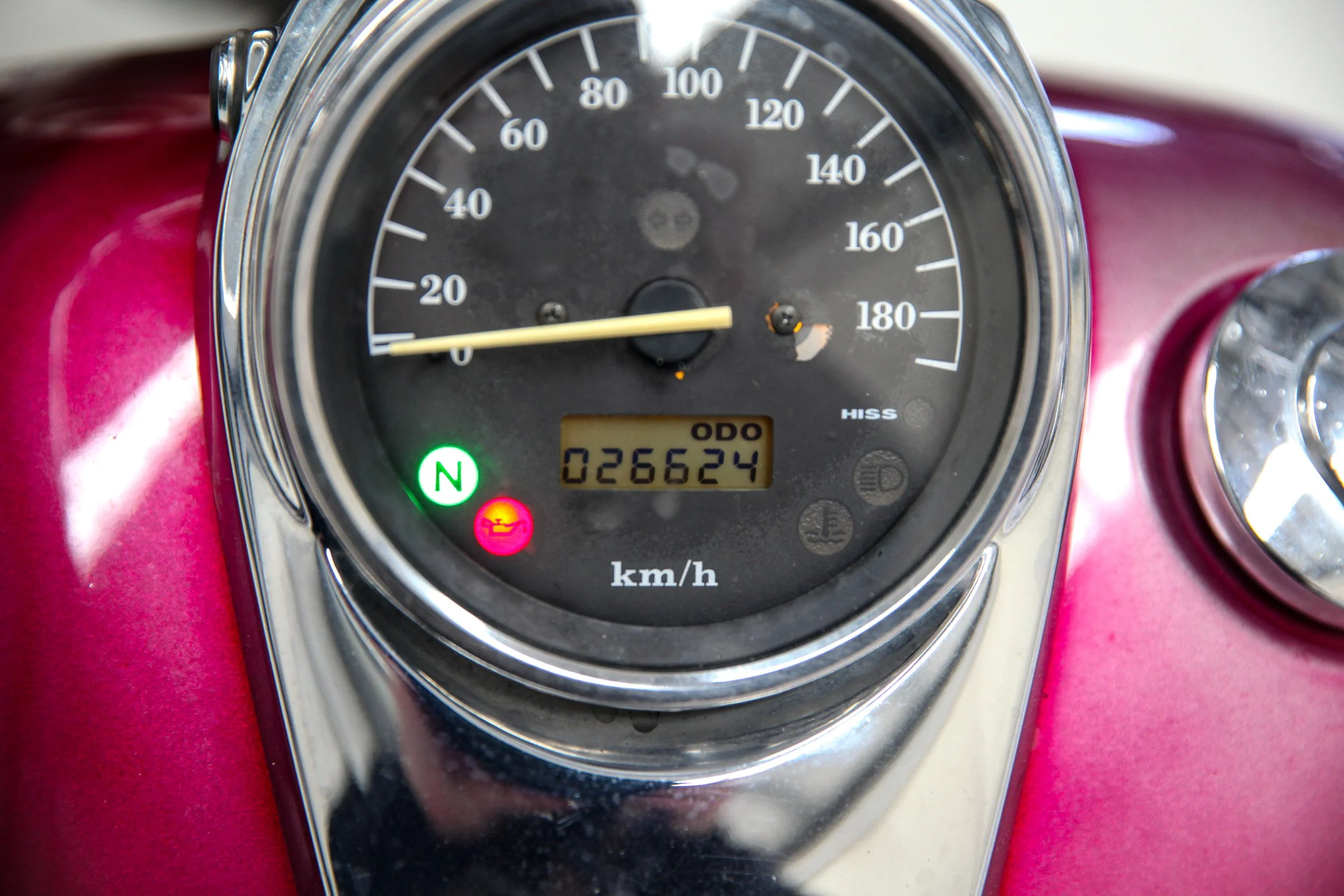 IMG_6325.jpg