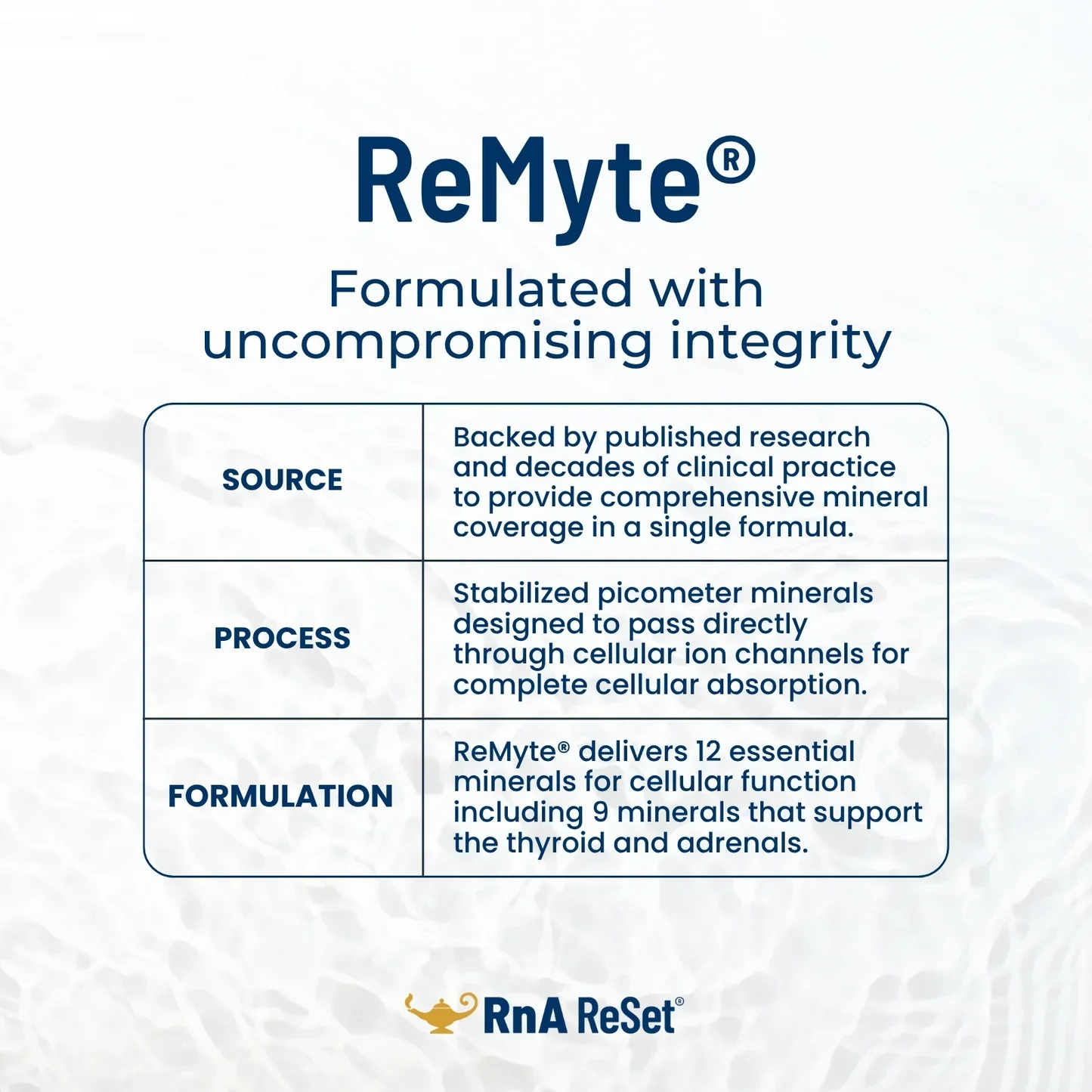 ReMyte_-_Ingredients.webp