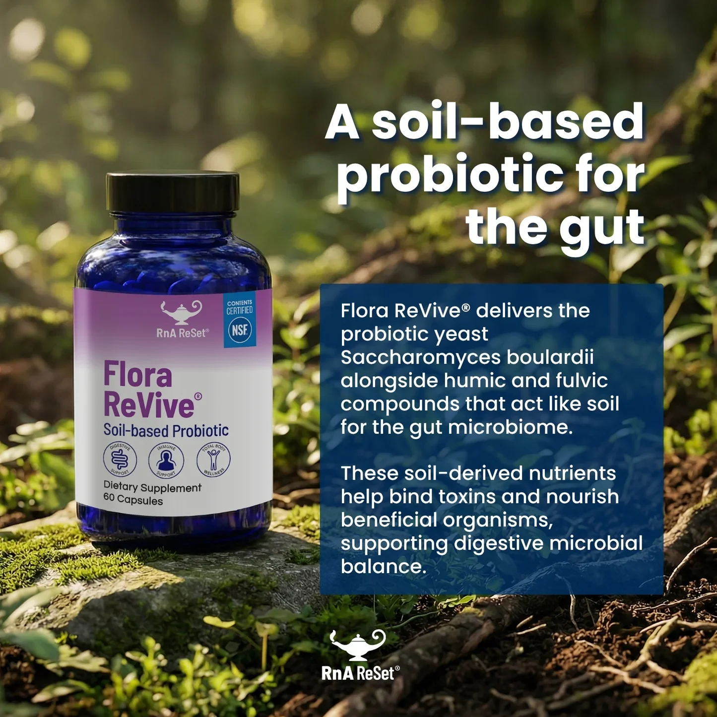 Flora_ReVive_-_Ingredients_95138b92-929d-4460-a5f7-70dc6edfa66b.webp