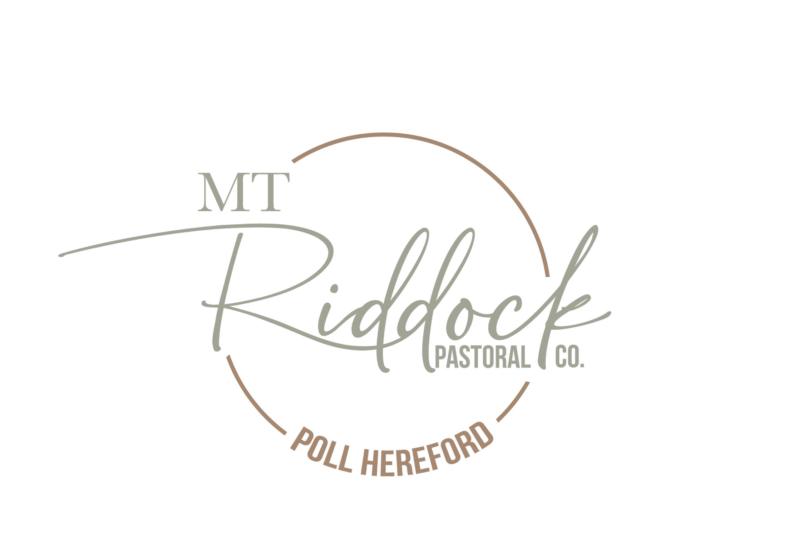 Mt Riddock Logo.png