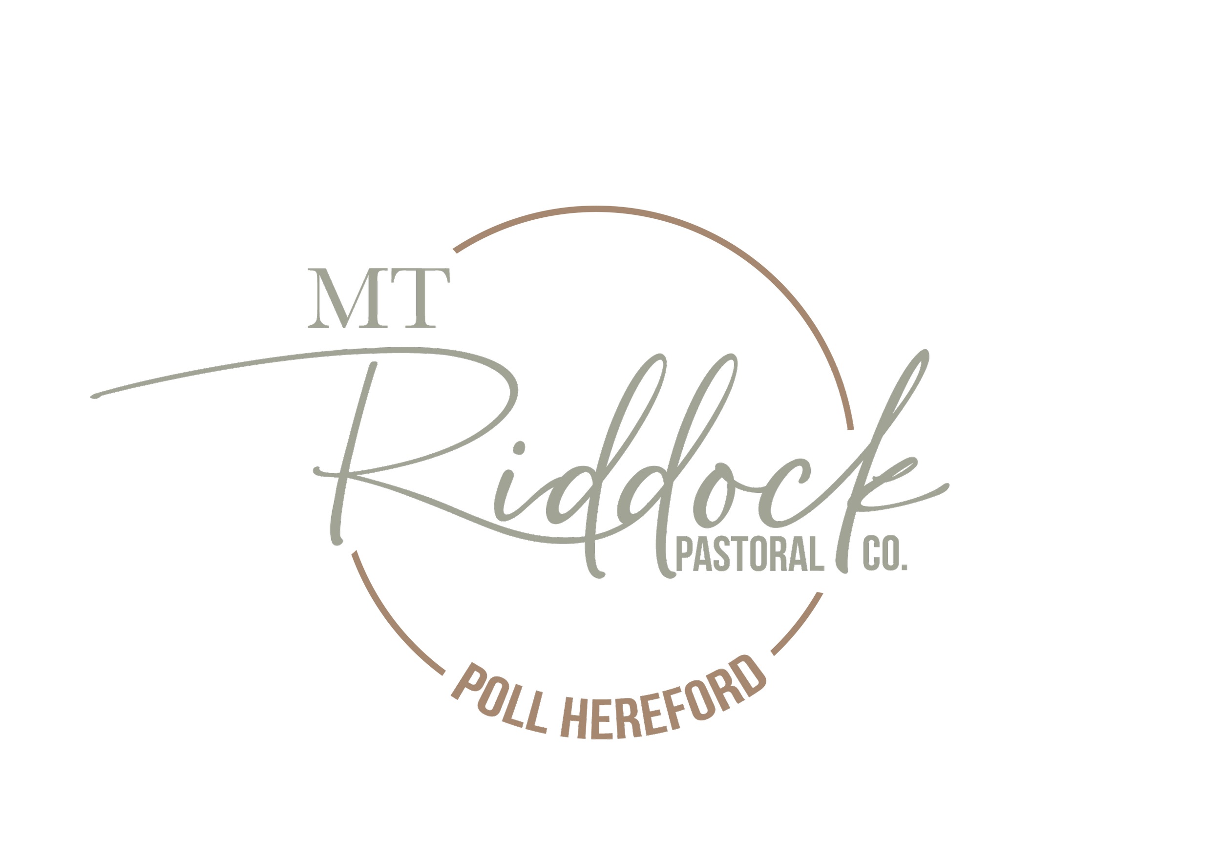 Mt Riddock Logo.png