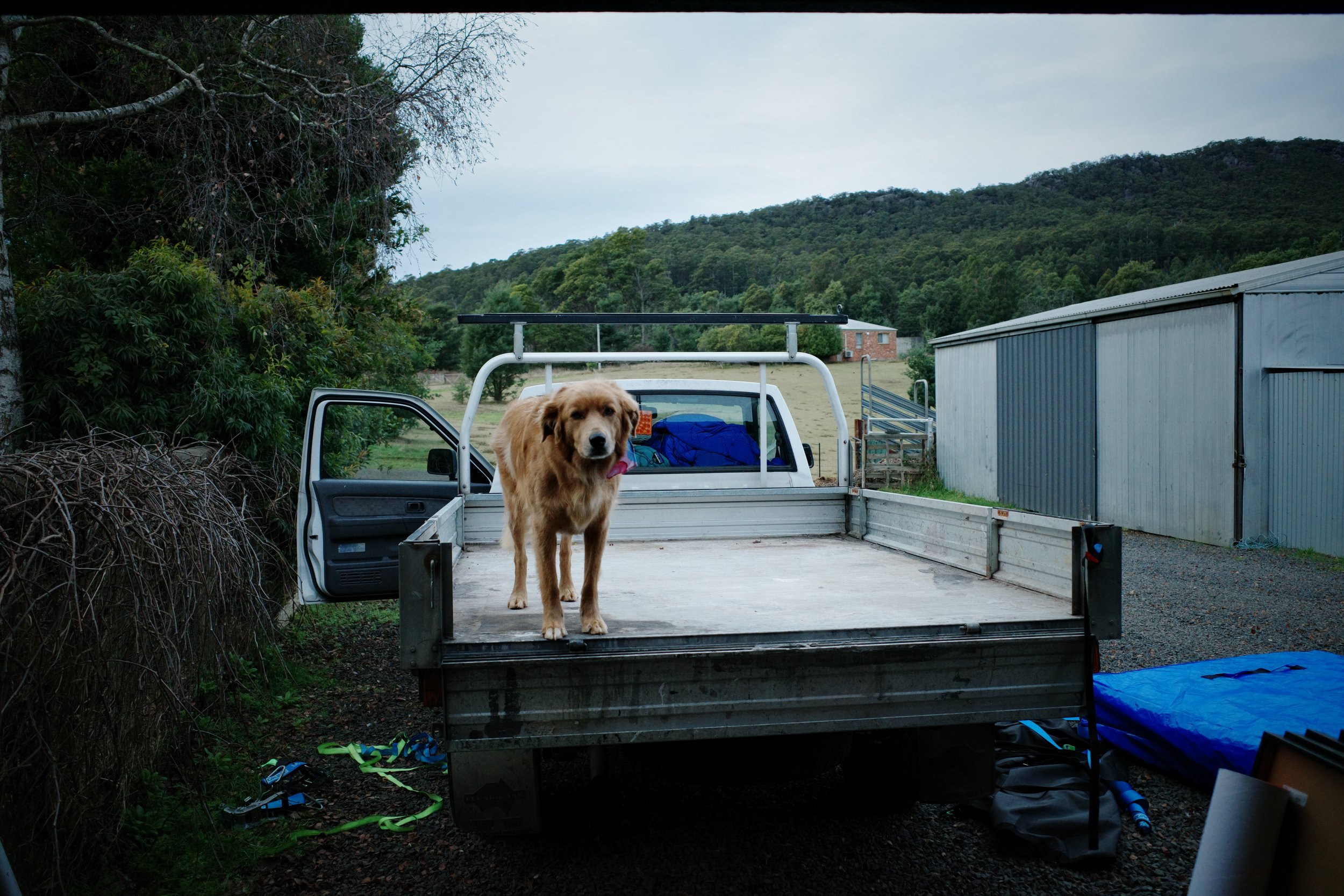 Prologue &amp; August