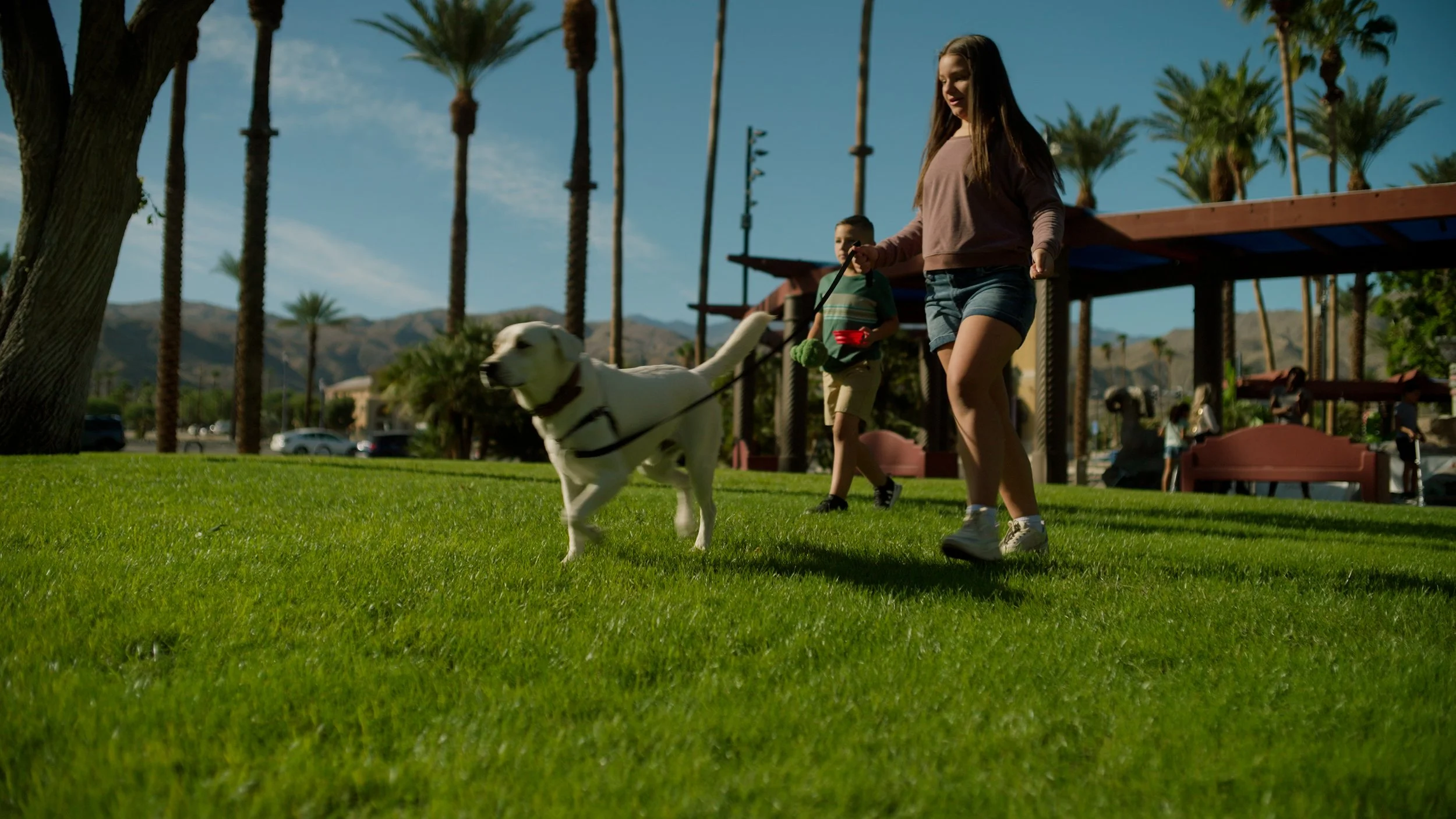 Kids walking a dog in a park with palm trees.
