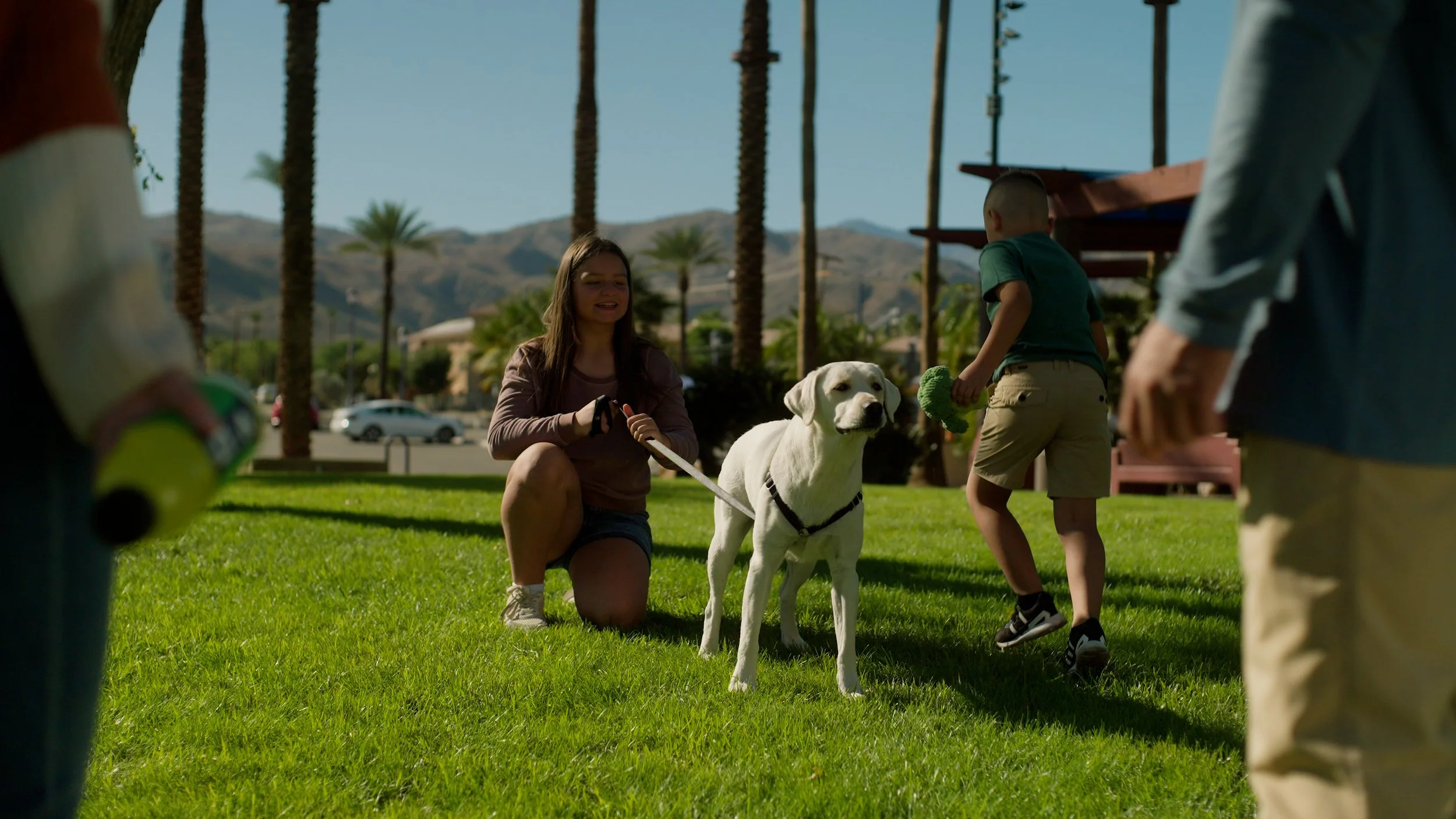 Girl holding leash of white dog in park with people and palm trees