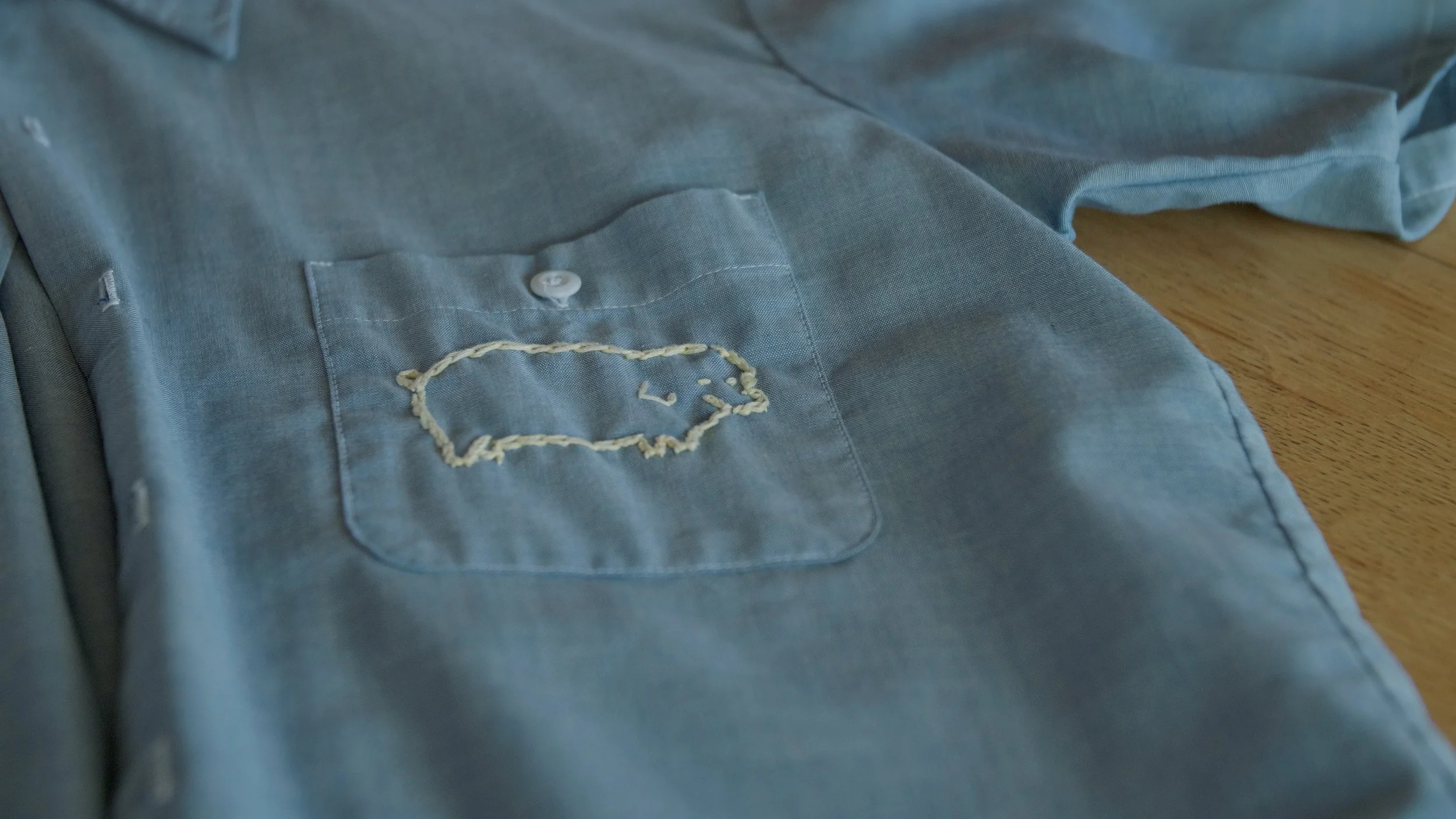 Blue shirt with embroidered buffalo on pocket