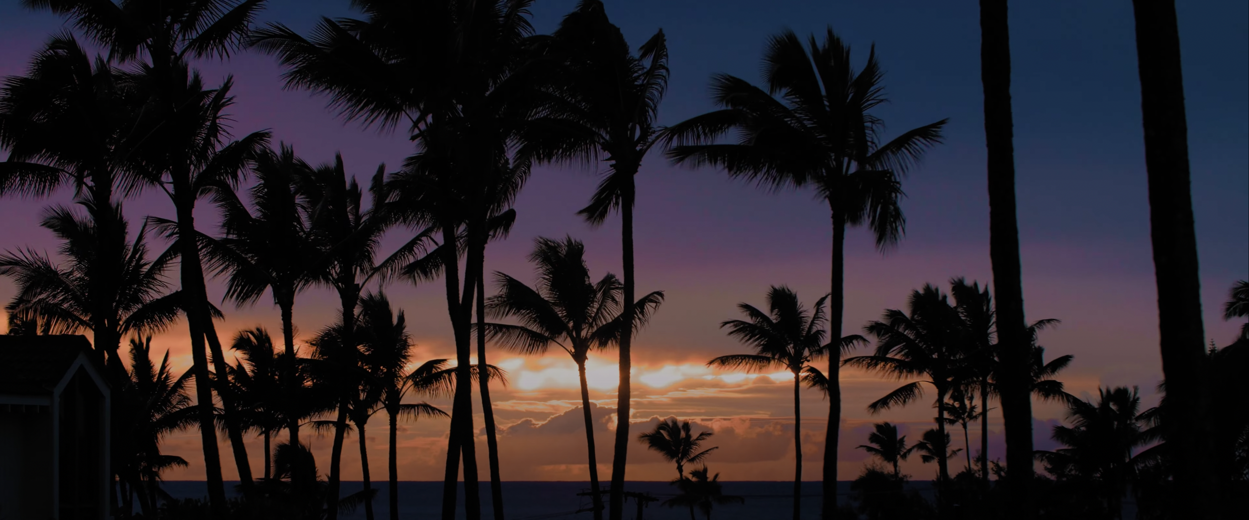 Silhouette of palm trees against a colorful sunset sky